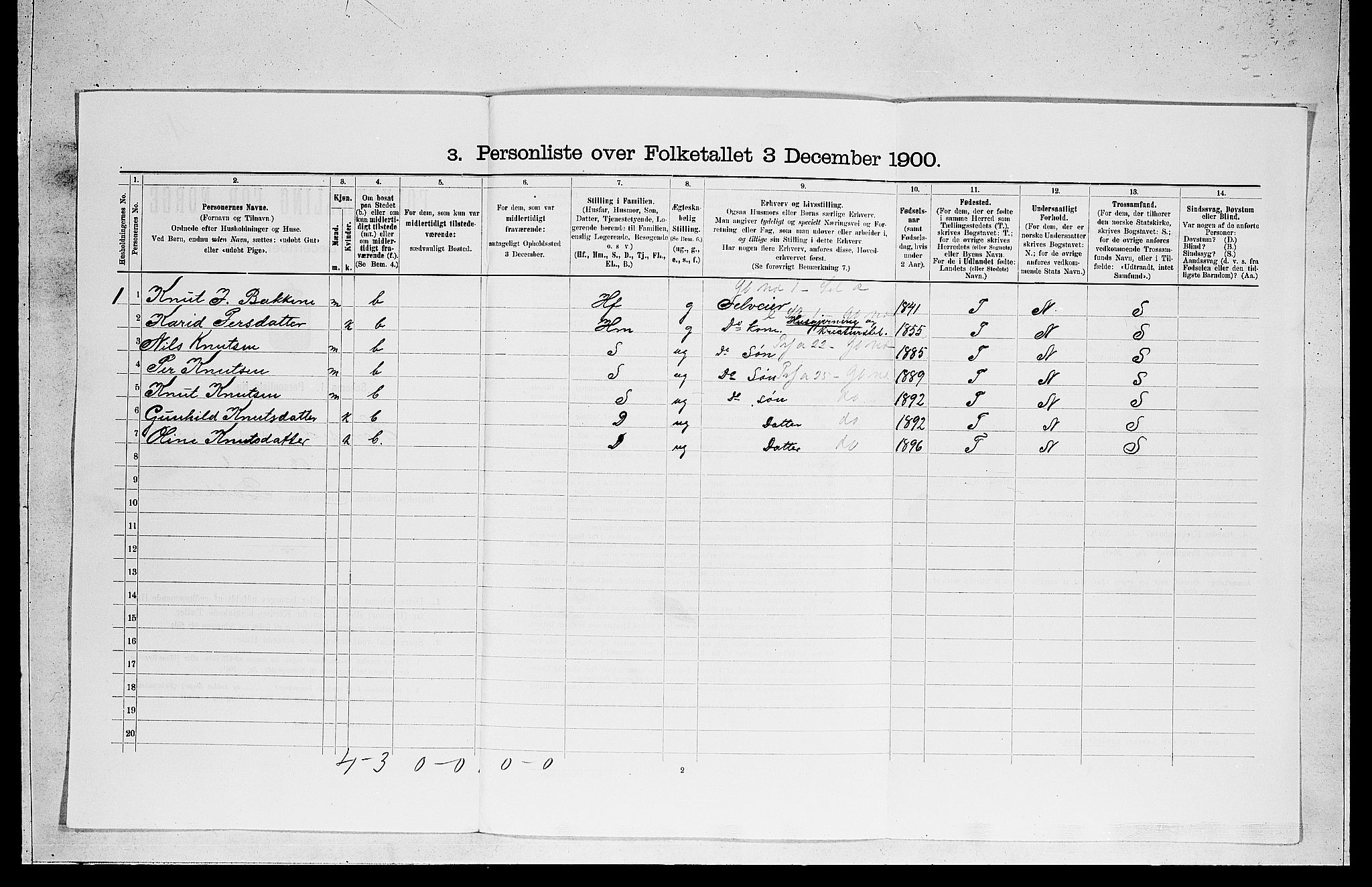 RA, 1900 census for Hemsedal, 1900, p. 106