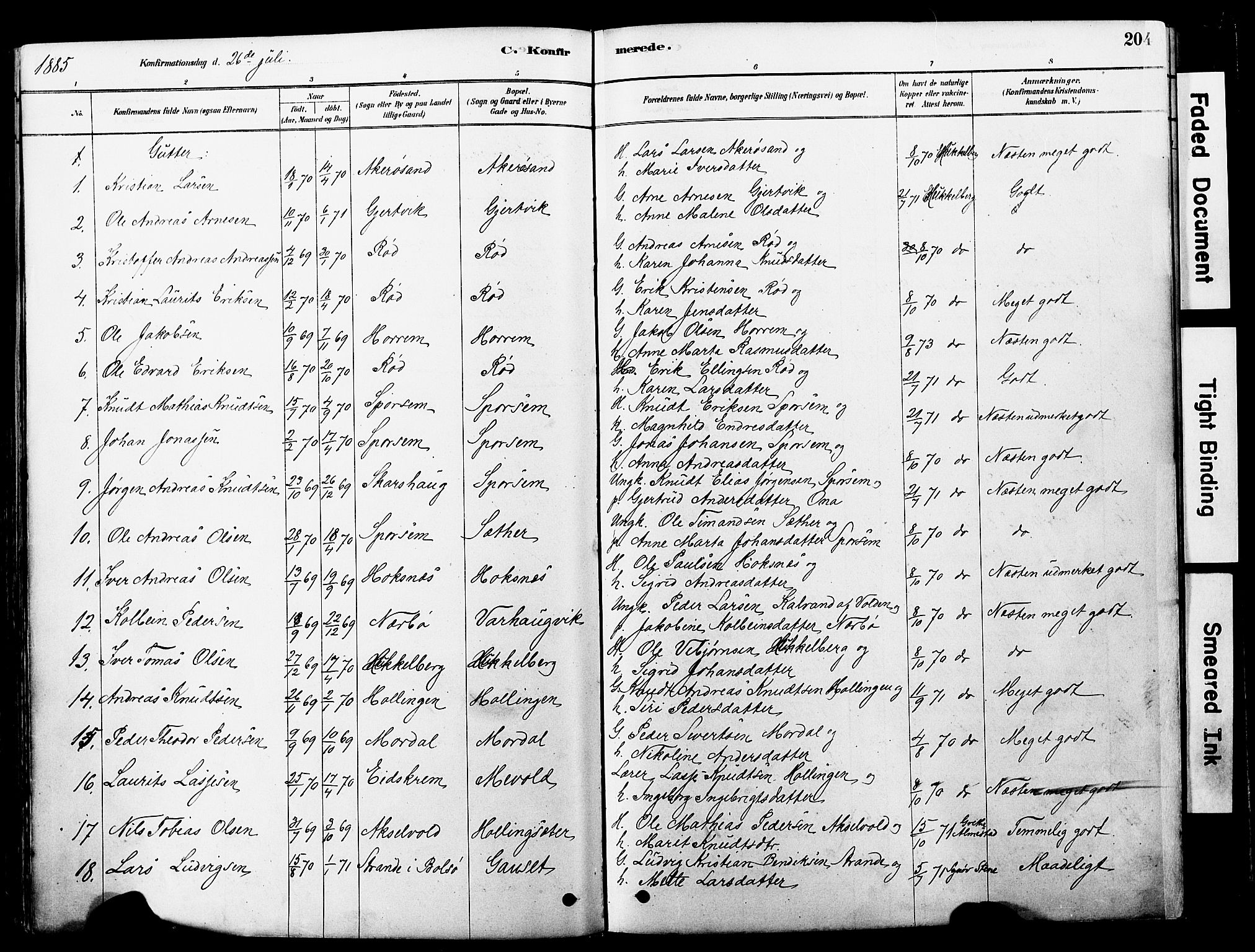 Ministerialprotokoller, klokkerbøker og fødselsregistre - Møre og Romsdal, SAT/A-1454/560/L0721: Parish register (official) no. 560A05, 1878-1917, p. 204