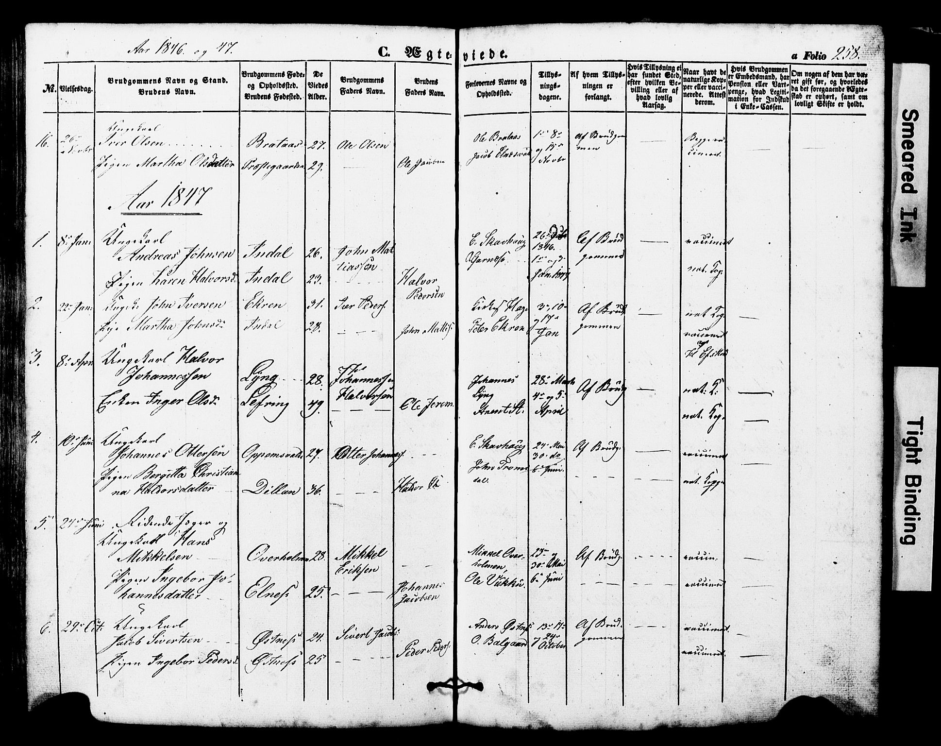Ministerialprotokoller, klokkerbøker og fødselsregistre - Nord-Trøndelag, AV/SAT-A-1458/724/L0268: Parish register (copy) no. 724C04, 1846-1878, p. 258