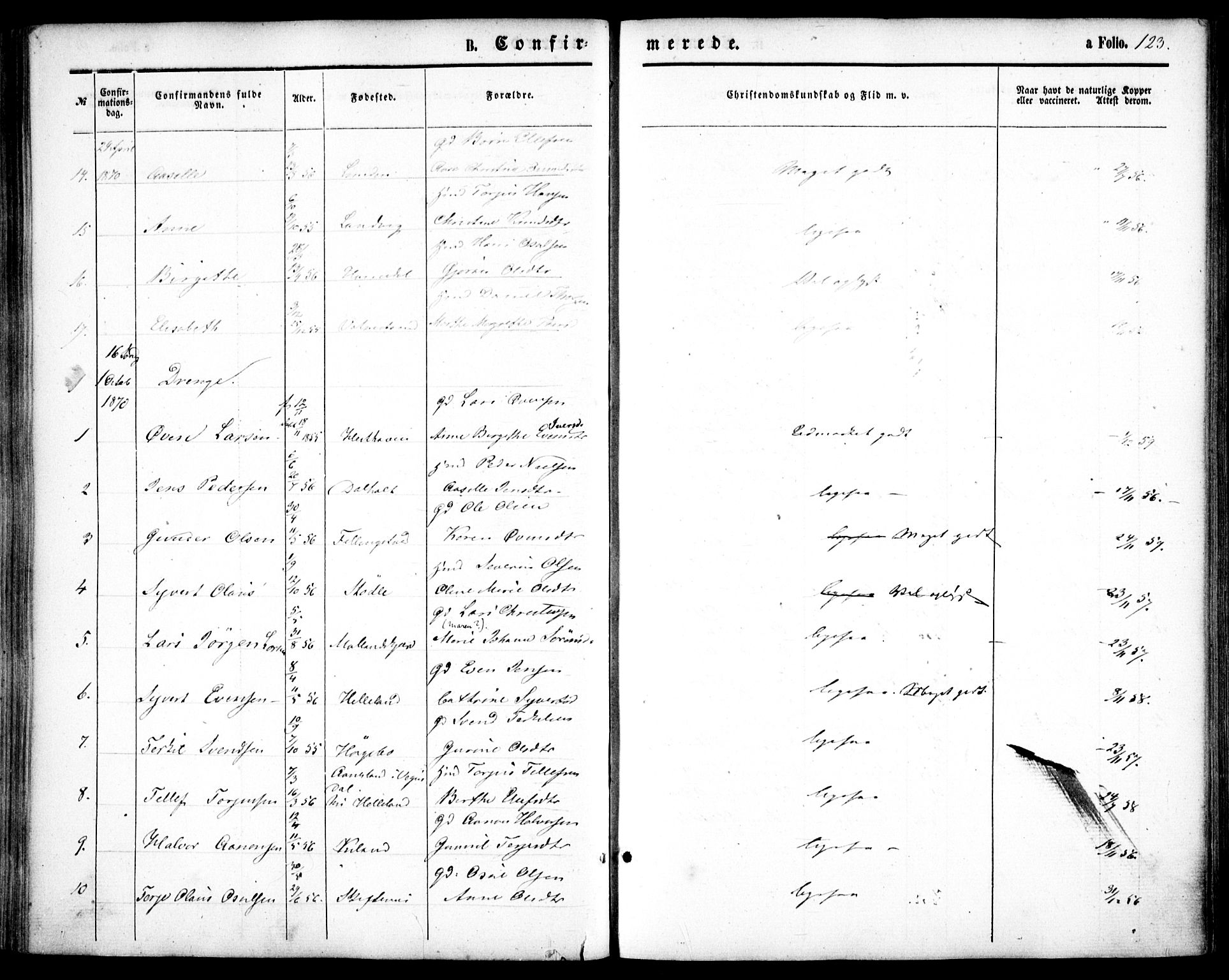Hommedal sokneprestkontor, AV/SAK-1111-0023/F/Fa/Fab/L0005: Parish register (official) no. A 5, 1861-1877, p. 123