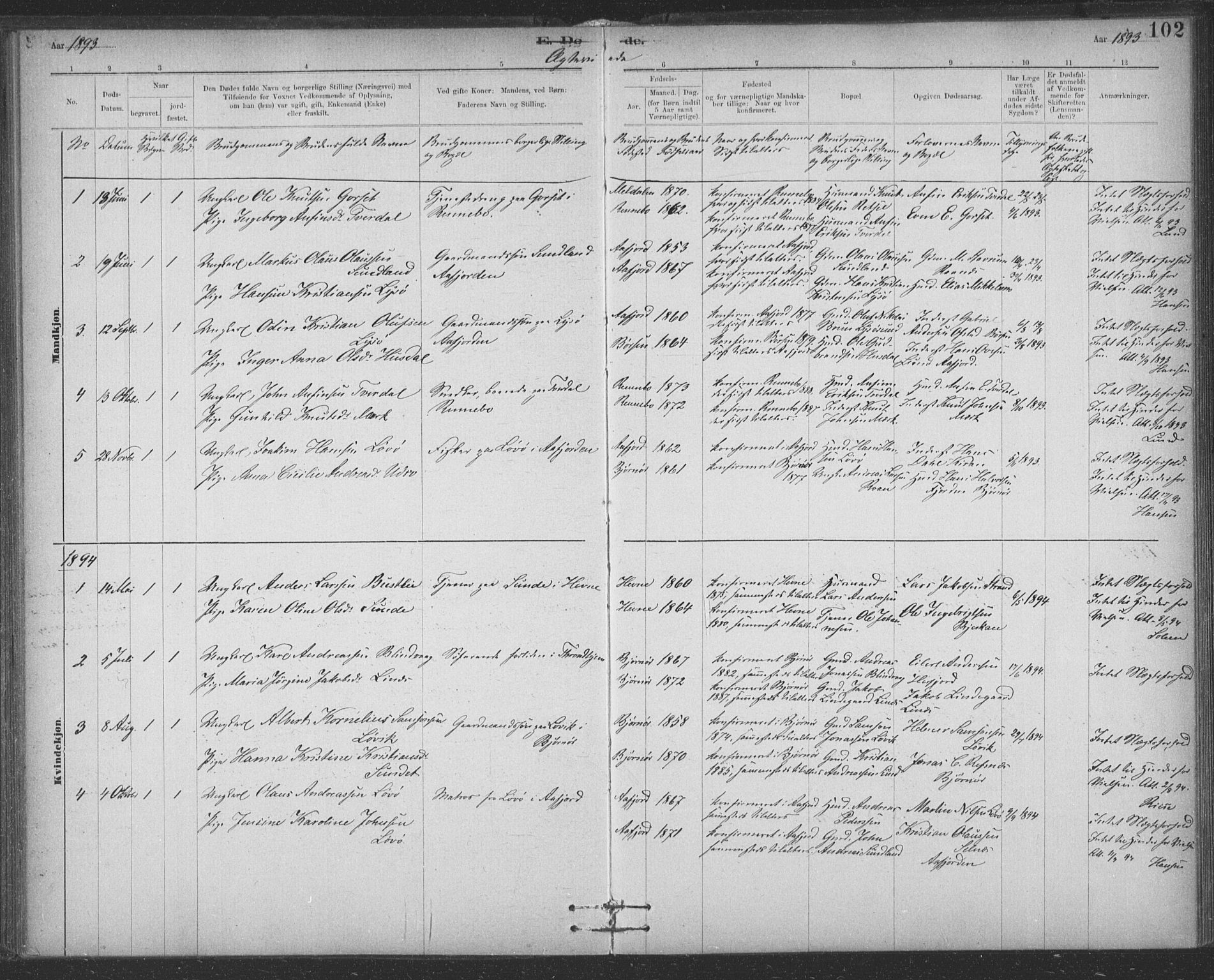 Ministerialprotokoller, klokkerbøker og fødselsregistre - Sør-Trøndelag, SAT/A-1456/623/L0470: Parish register (official) no. 623A04, 1884-1938, p. 102