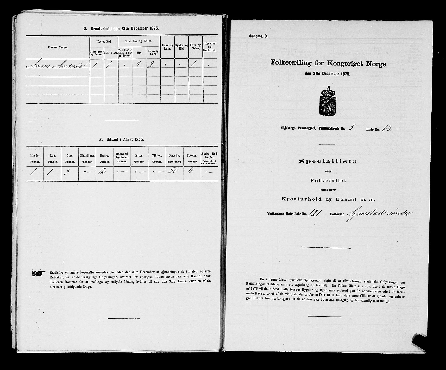 RA, 1875 census for 0115P Skjeberg, 1875, p. 1006