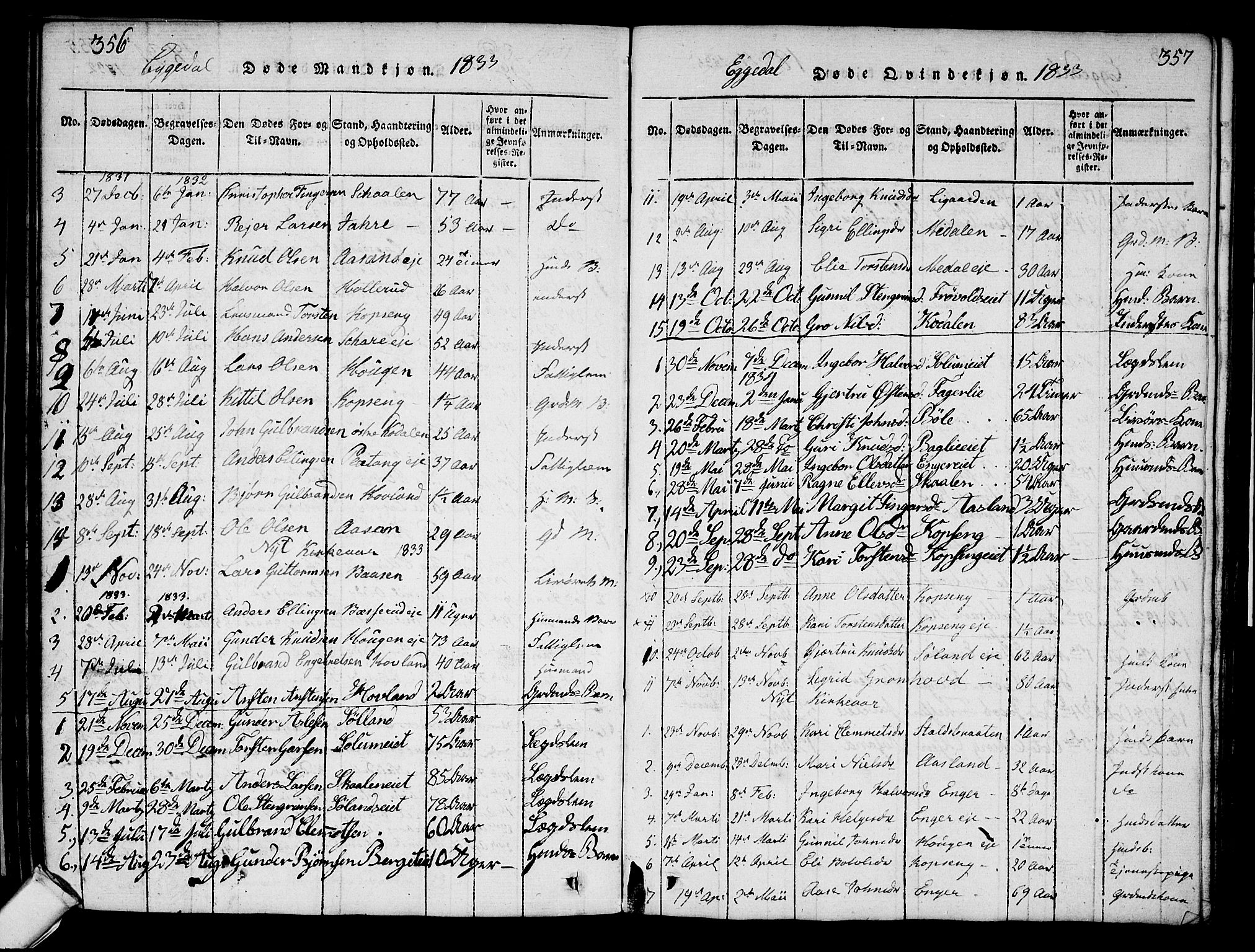 Sigdal kirkebøker, AV/SAKO-A-245/G/Ga/L0001: Parish register (copy) no. I 1 /2, 1816-1835, p. 356-357