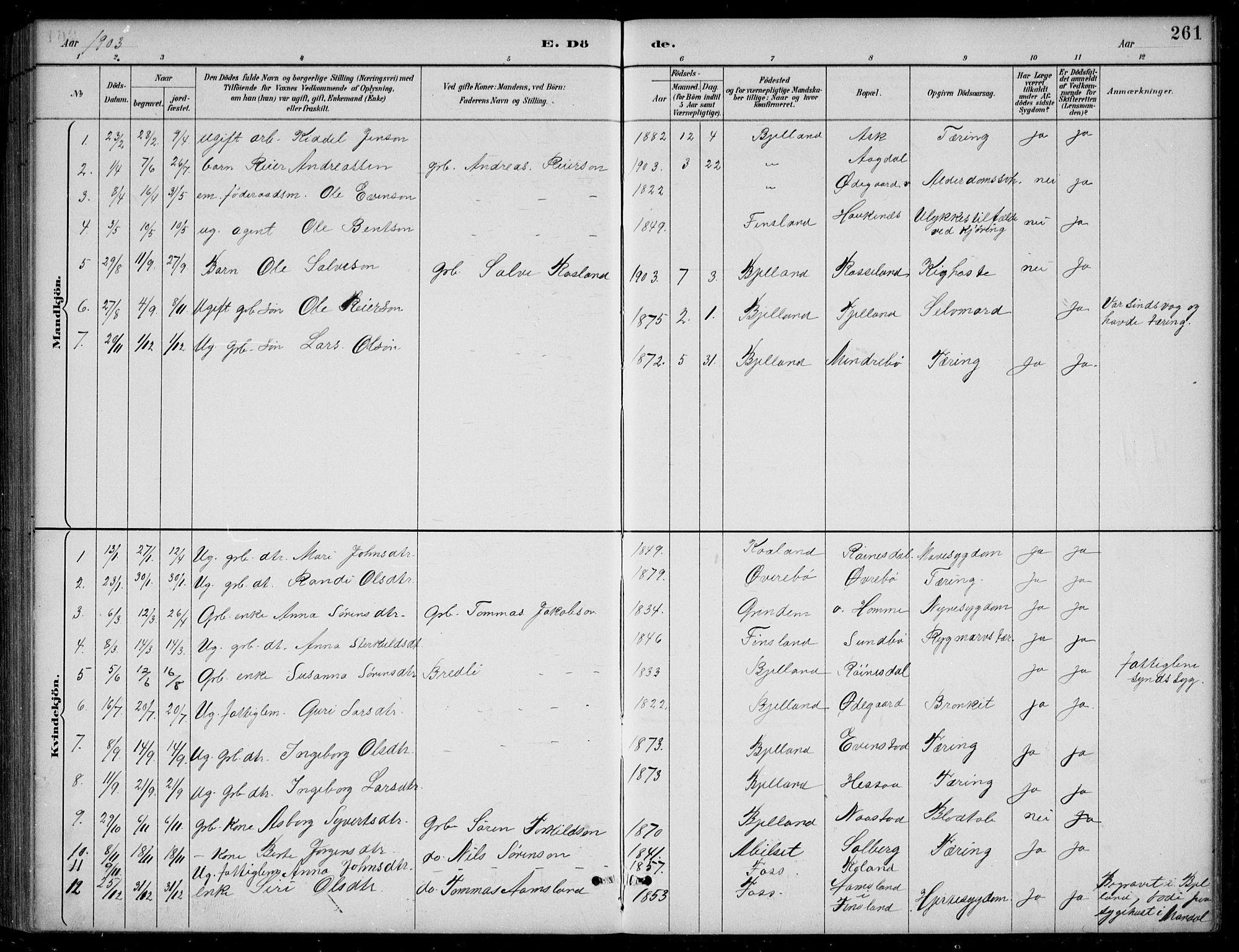 Bjelland sokneprestkontor, AV/SAK-1111-0005/F/Fb/Fba/L0005: Parish register (copy) no. B 5, 1887-1923, p. 261