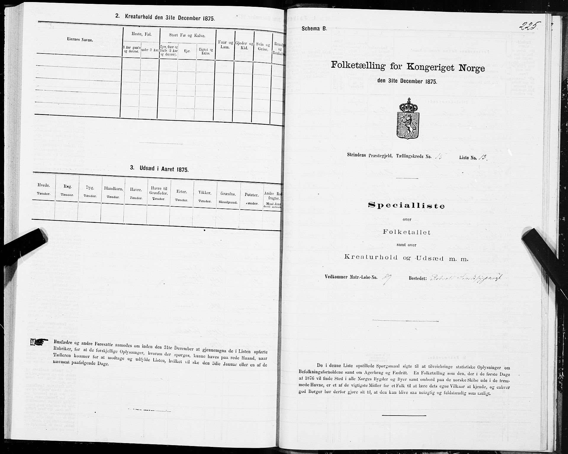 SAT, 1875 census for 1660P Strinda, 1875, p. 8225