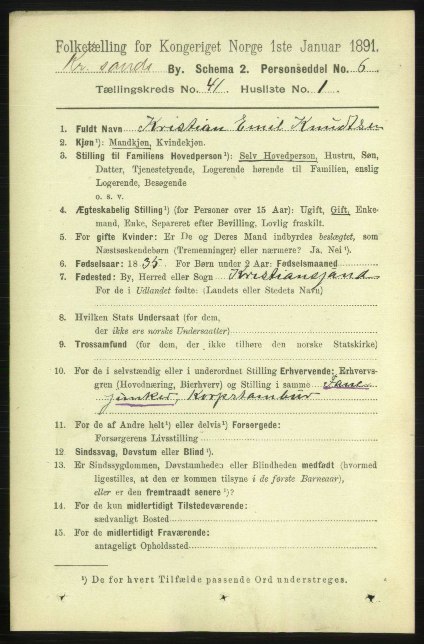 RA, 1891 census for 1001 Kristiansand, 1891, p. 12489