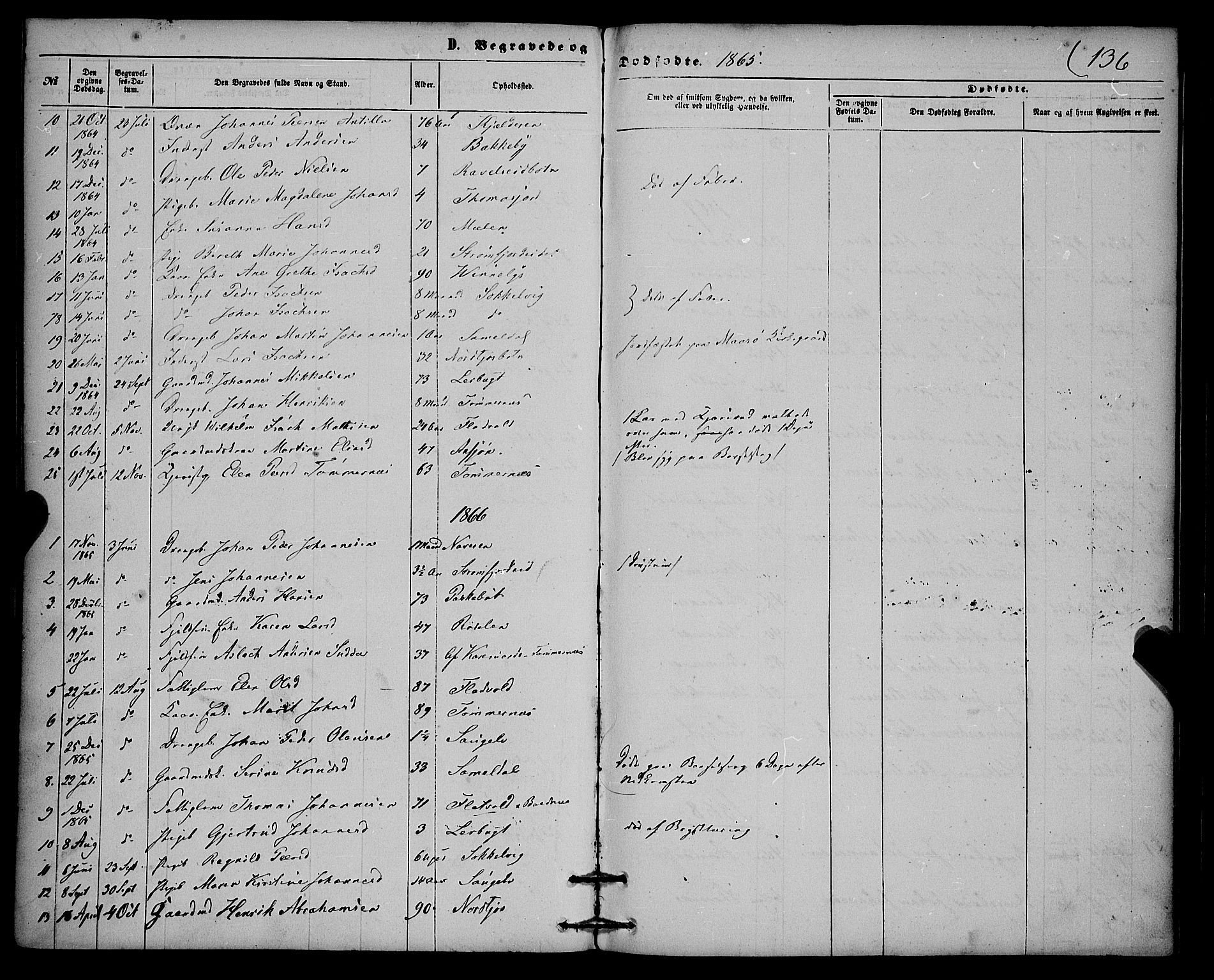 Skjervøy sokneprestkontor, SATØ/S-1300/H/Ha/Haa/L0013kirke: Parish register (official) no. 13, 1863-1877, p. 136