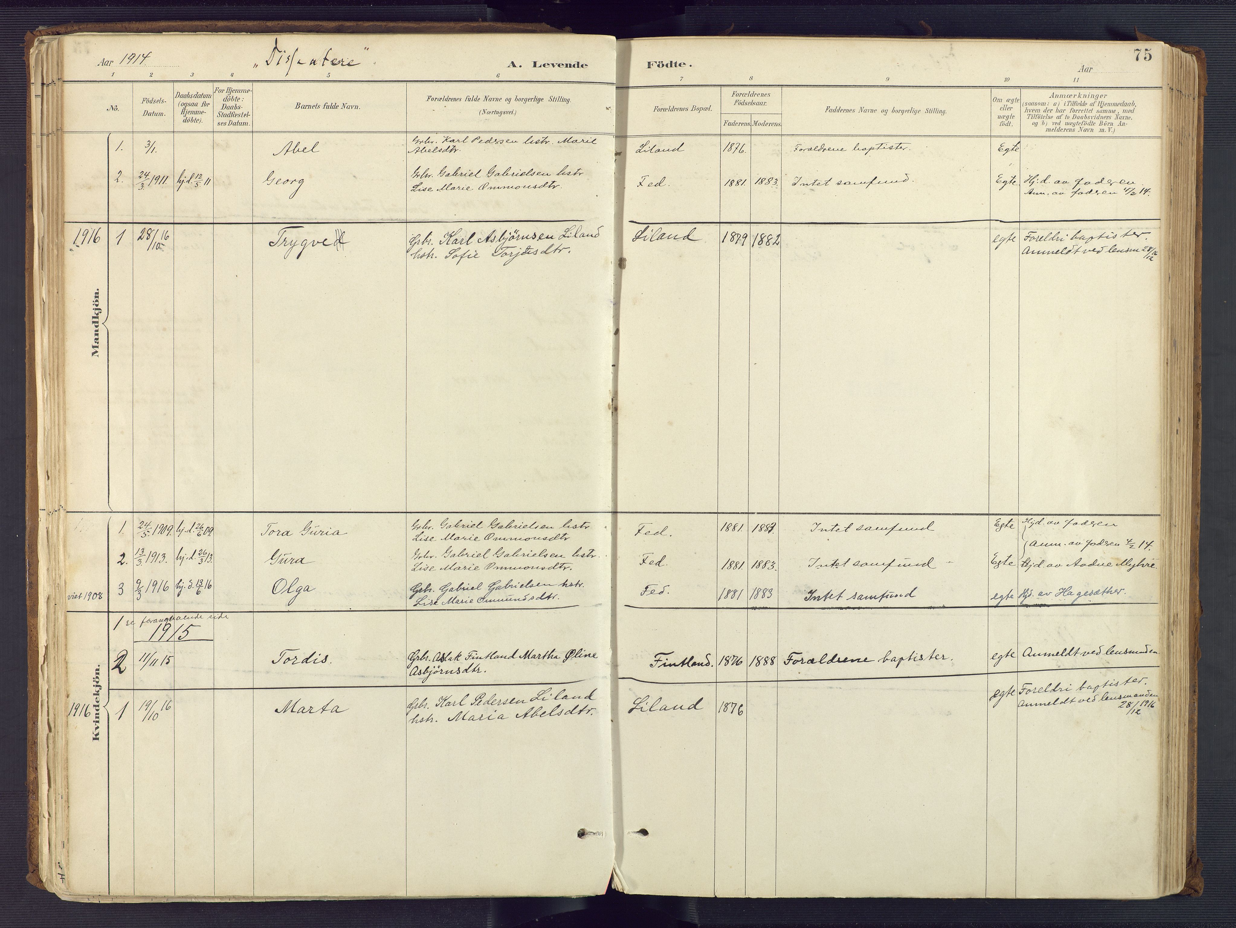 Sirdal sokneprestkontor, AV/SAK-1111-0036/F/Fa/Fab/L0004: Parish register (official) no. A 4, 1887-1919, p. 75