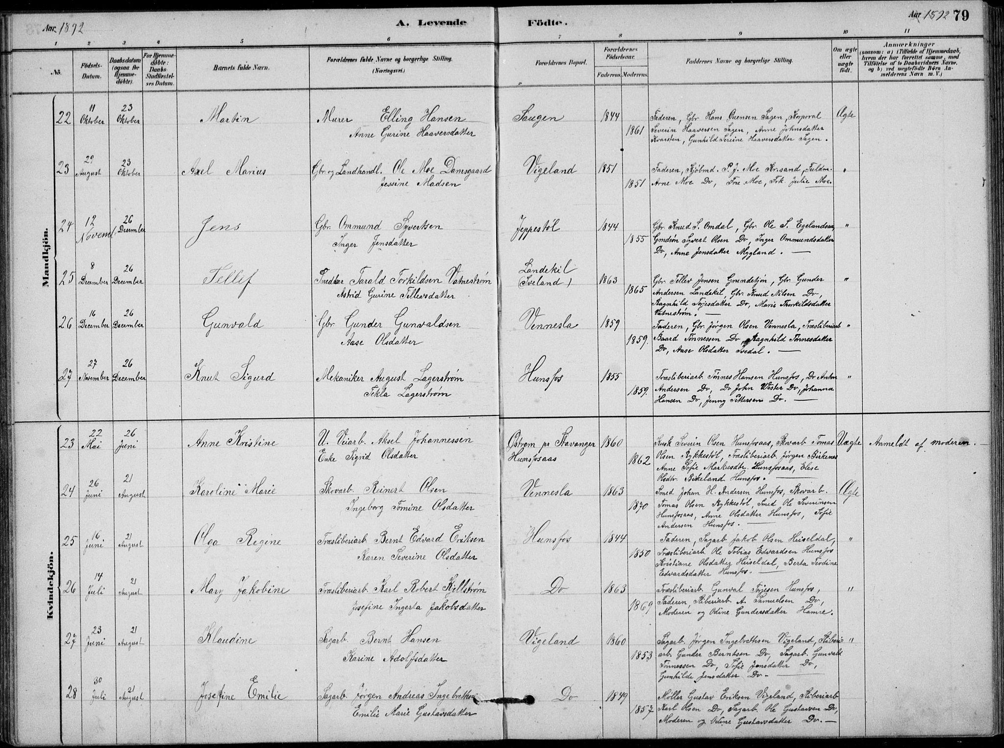 Vennesla sokneprestkontor, AV/SAK-1111-0045/Fb/Fbb/L0003: Parish register (copy) no. B 3, 1879-1893, p. 79