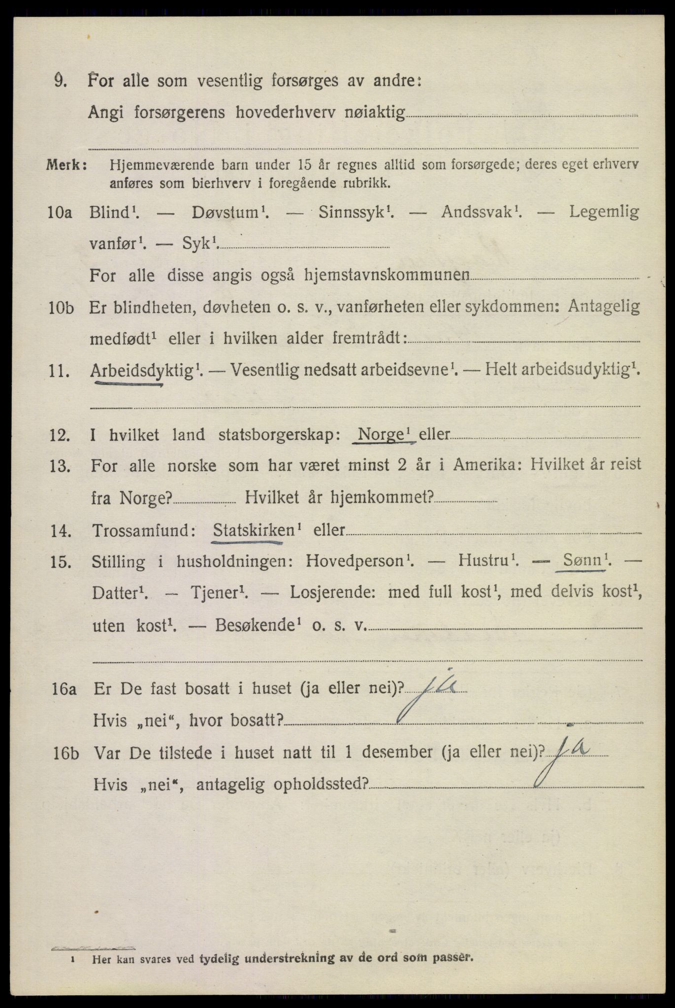 SAKO, 1920 census for Røyken, 1920, p. 4085