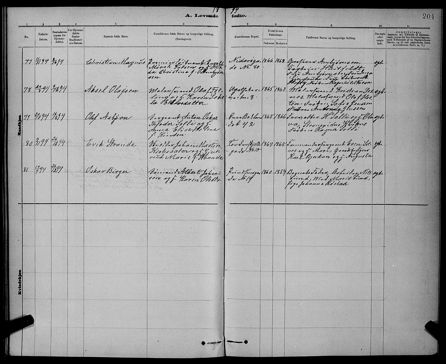 Ministerialprotokoller, klokkerbøker og fødselsregistre - Sør-Trøndelag, AV/SAT-A-1456/601/L0092: Parish register (copy) no. 601C10, 1884-1897, p. 204