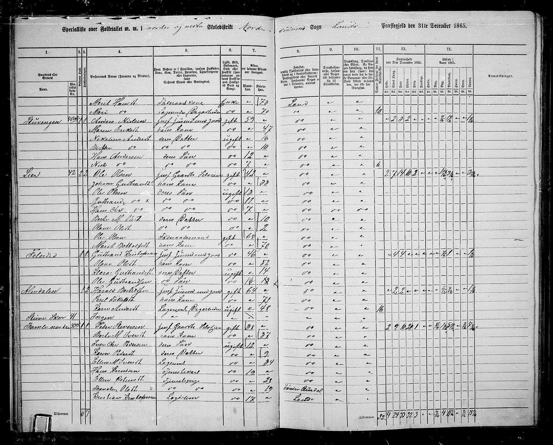 RA, 1865 census for Land, 1865, p. 35