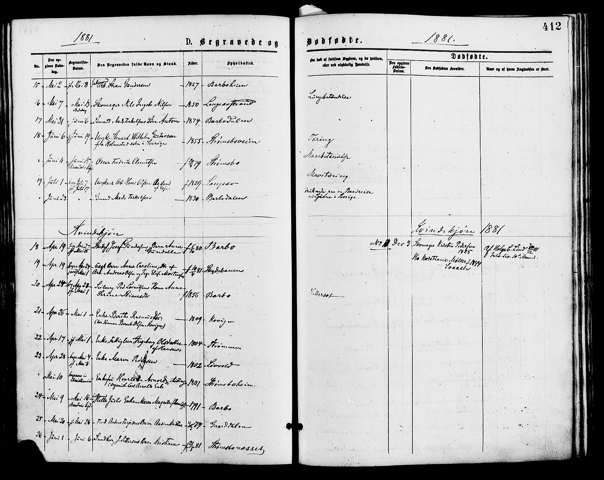 Barbu sokneprestkontor, AV/SAK-1111-0003/F/Fa/L0001: Parish register (official) no. A 1 /1, 1878-1883, p. 412