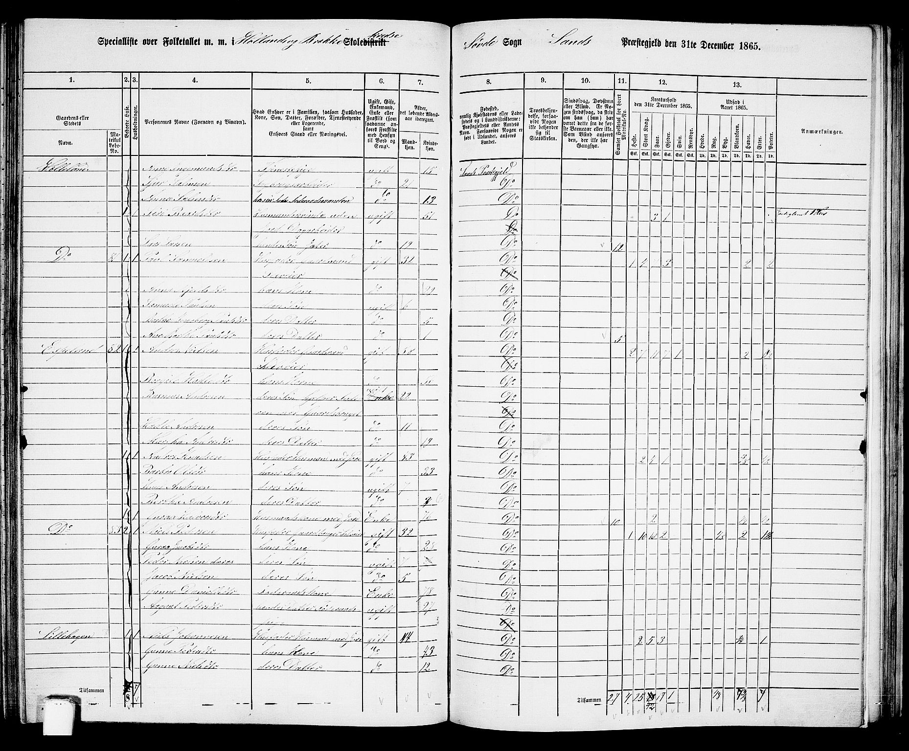 RA, 1865 census for Sand, 1865, p. 112