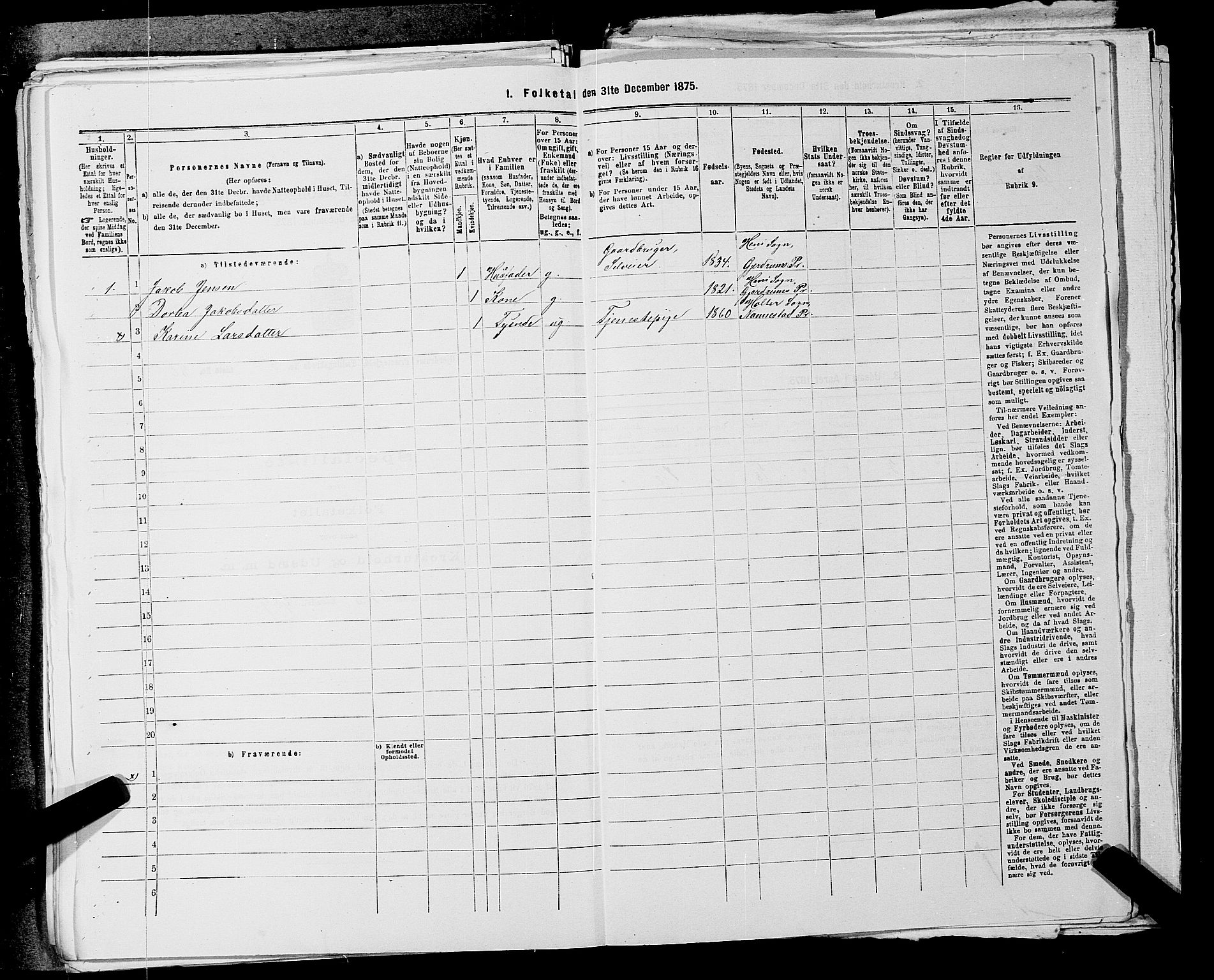 RA, 1875 census for 0234P Gjerdrum, 1875, p. 556