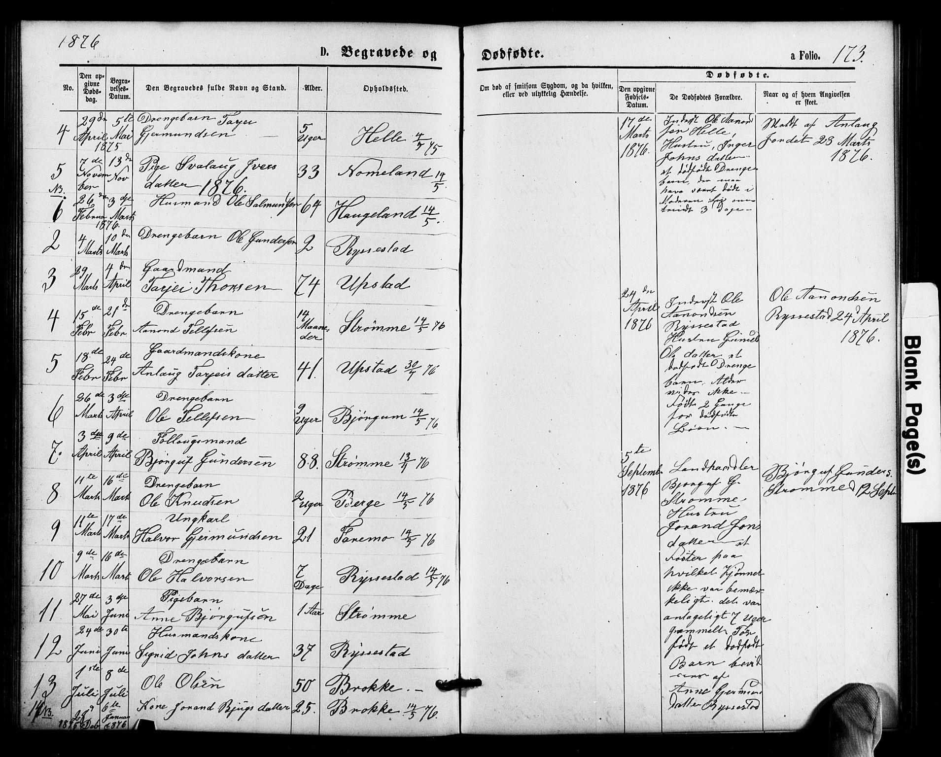 Valle sokneprestkontor, SAK/1111-0044/F/Fb/Fbb/L0002: Parish register (copy) no. B 2, 1875-1921, p. 173