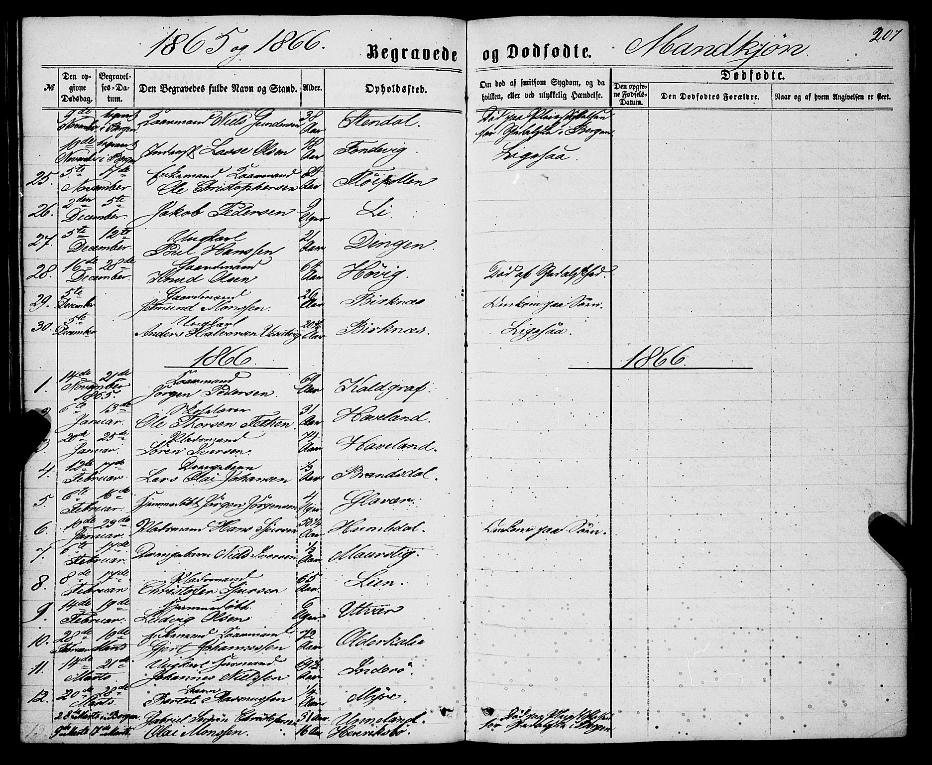 Gulen sokneprestembete, AV/SAB-A-80201/H/Haa/Haaa/L0022: Parish register (official) no. A 22, 1859-1869, p. 207