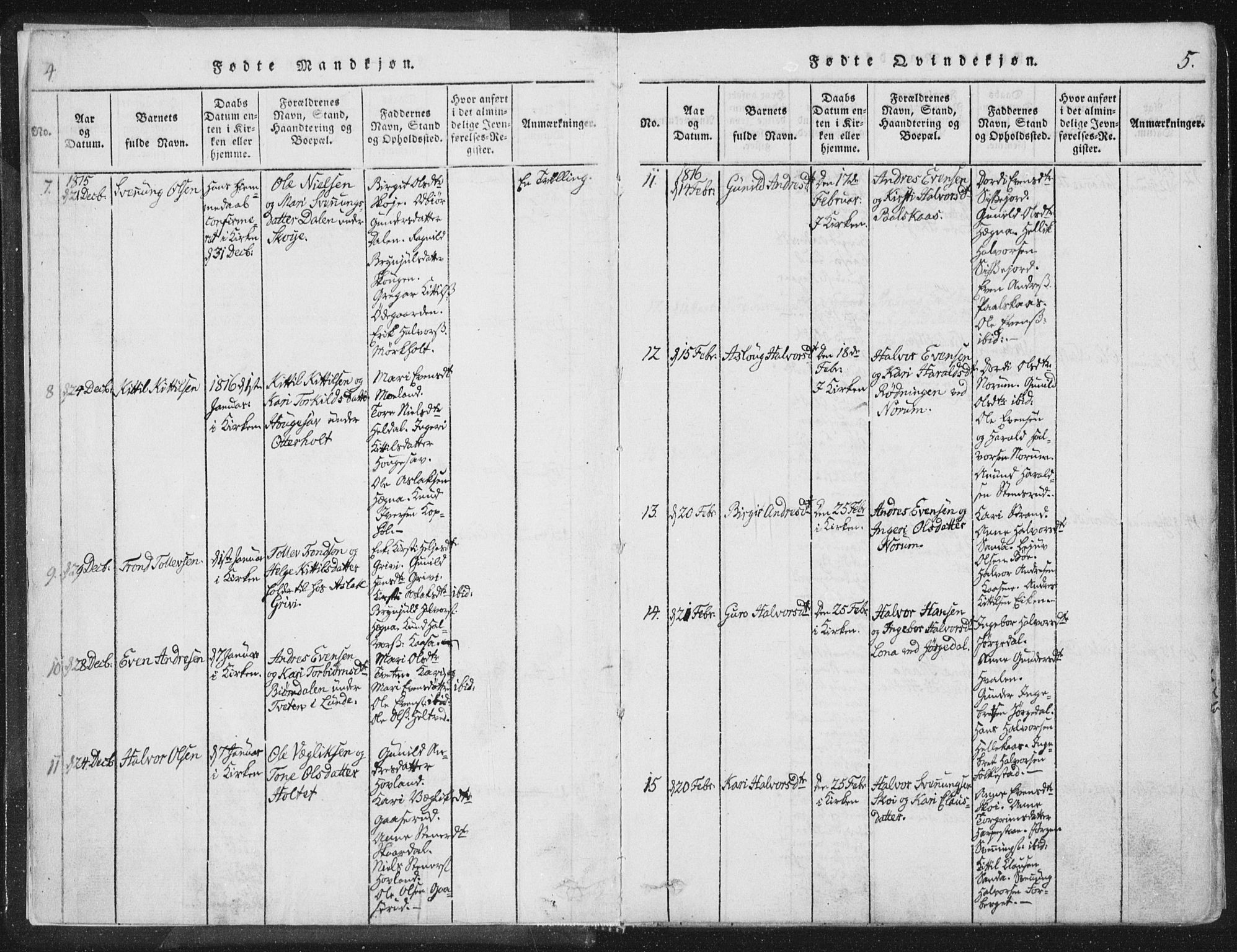 Bø kirkebøker, SAKO/A-257/F/Fa/L0006: Parish register (official) no. 6, 1815-1831, p. 4-5