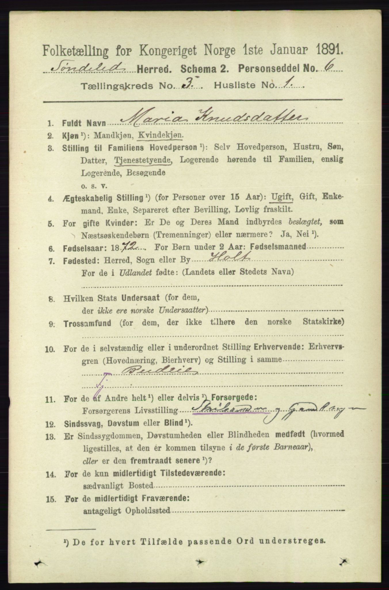 RA, 1891 census for 0913 Søndeled, 1891, p. 606