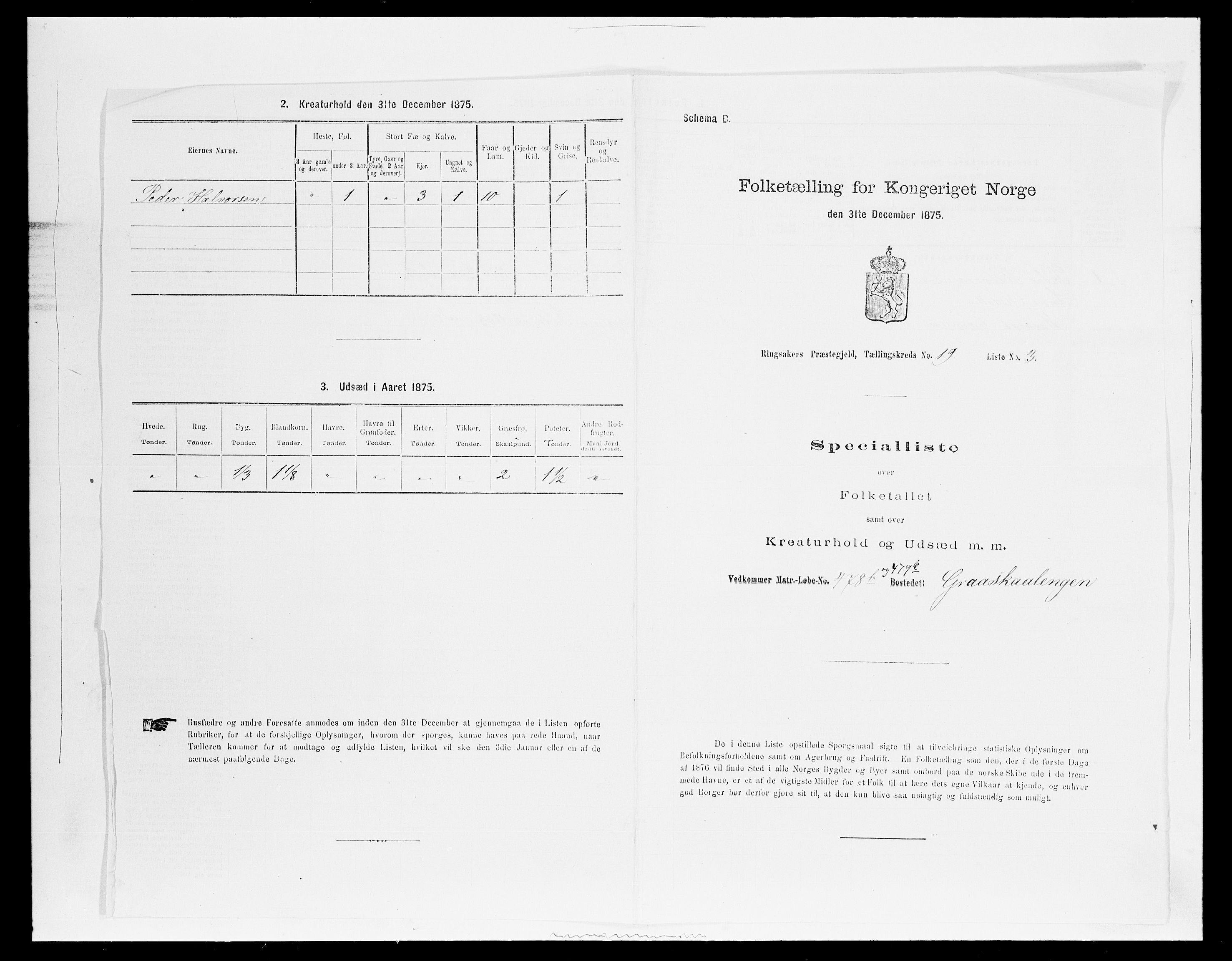 SAH, 1875 census for 0412P Ringsaker, 1875, p. 3739