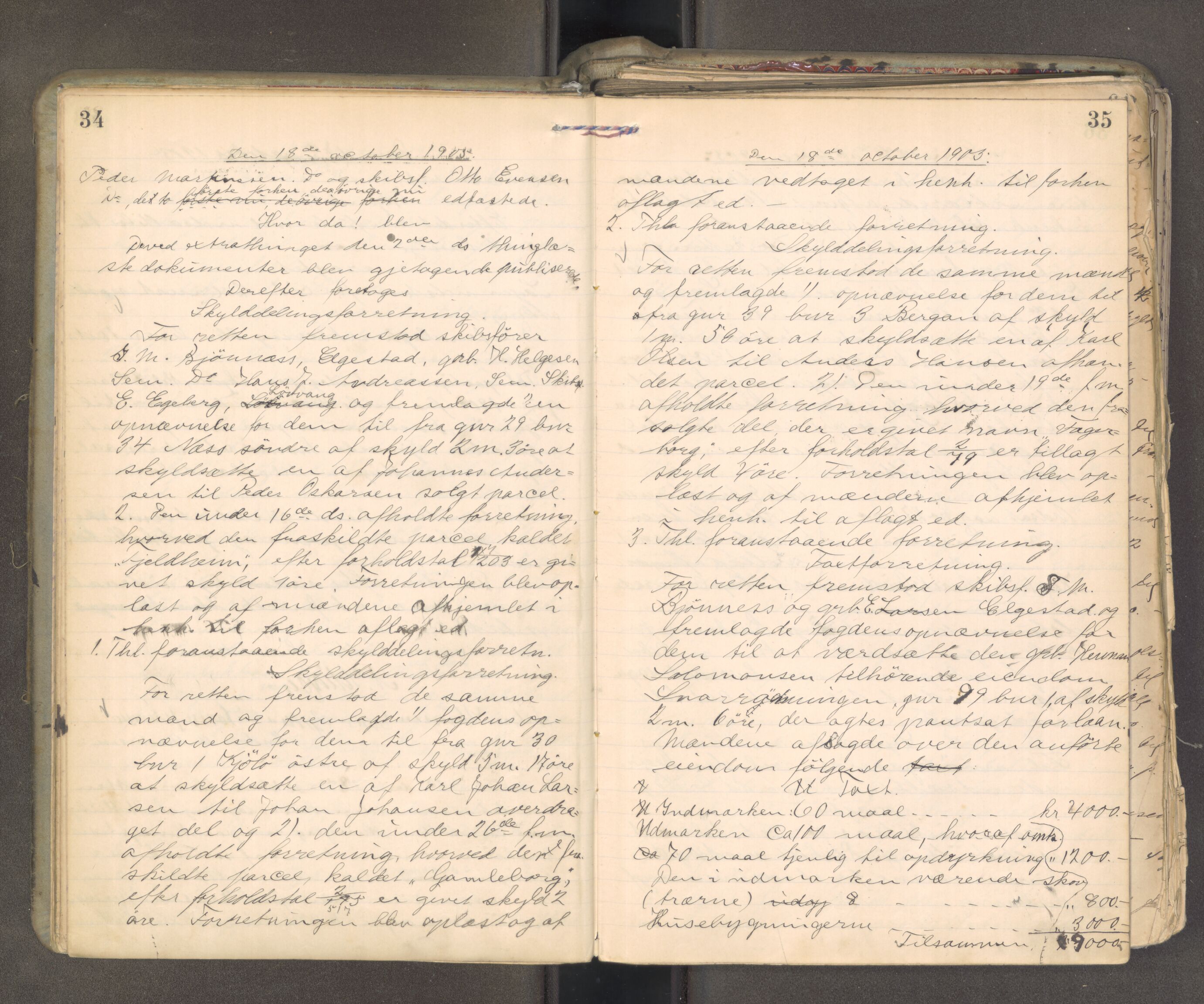 Søndre Jarlsberg sorenskriveri, AV/SAKO-A-129/F/Fa/L0045: Tingbok, 1905-1907, p. 34-35