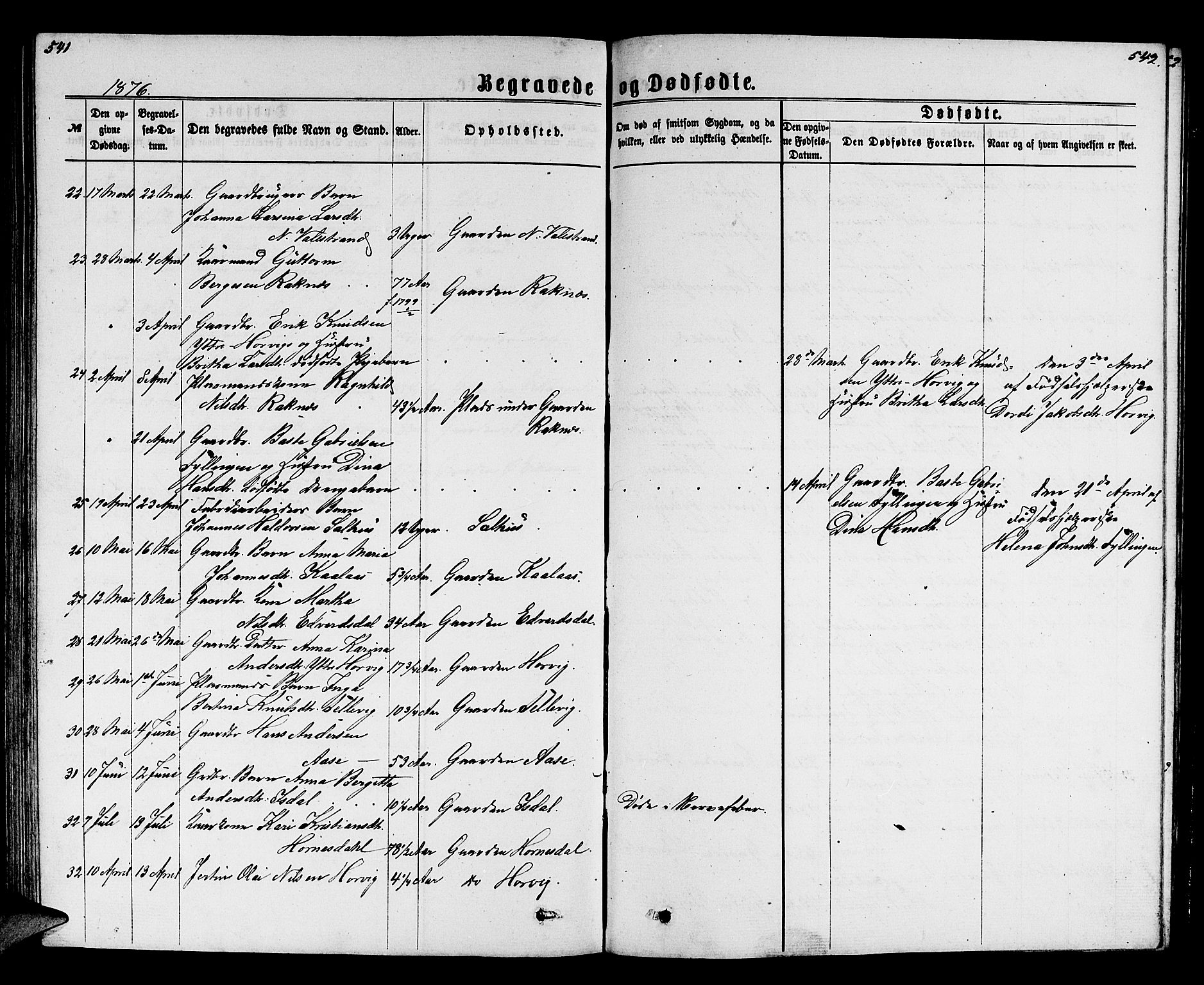 Hamre sokneprestembete, AV/SAB-A-75501/H/Ha/Hab: Parish register (copy) no. B 2, 1863-1880, p. 541-542