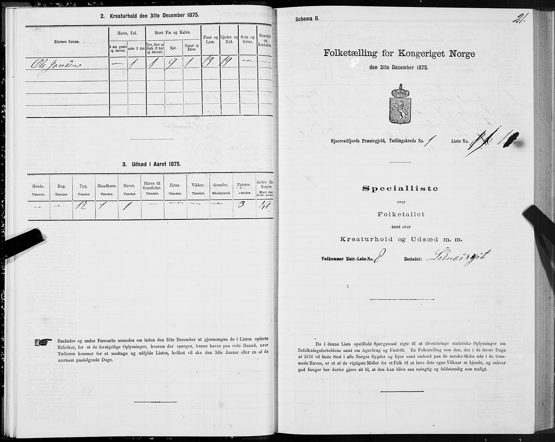 SAT, 1875 census for 1522P Hjørundfjord, 1875, p. 1021