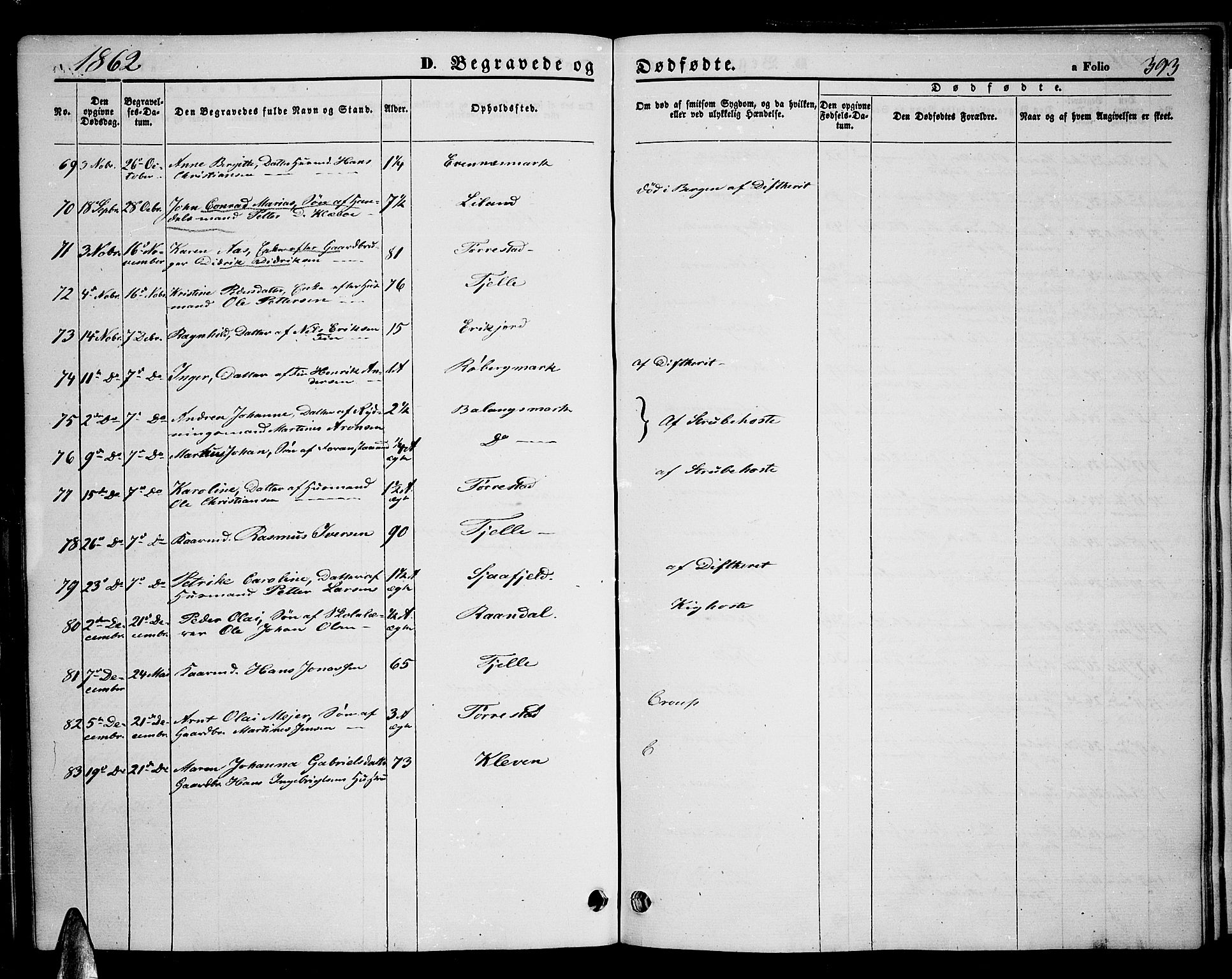 Ministerialprotokoller, klokkerbøker og fødselsregistre - Nordland, AV/SAT-A-1459/863/L0912: Parish register (copy) no. 863C02, 1858-1876, p. 393