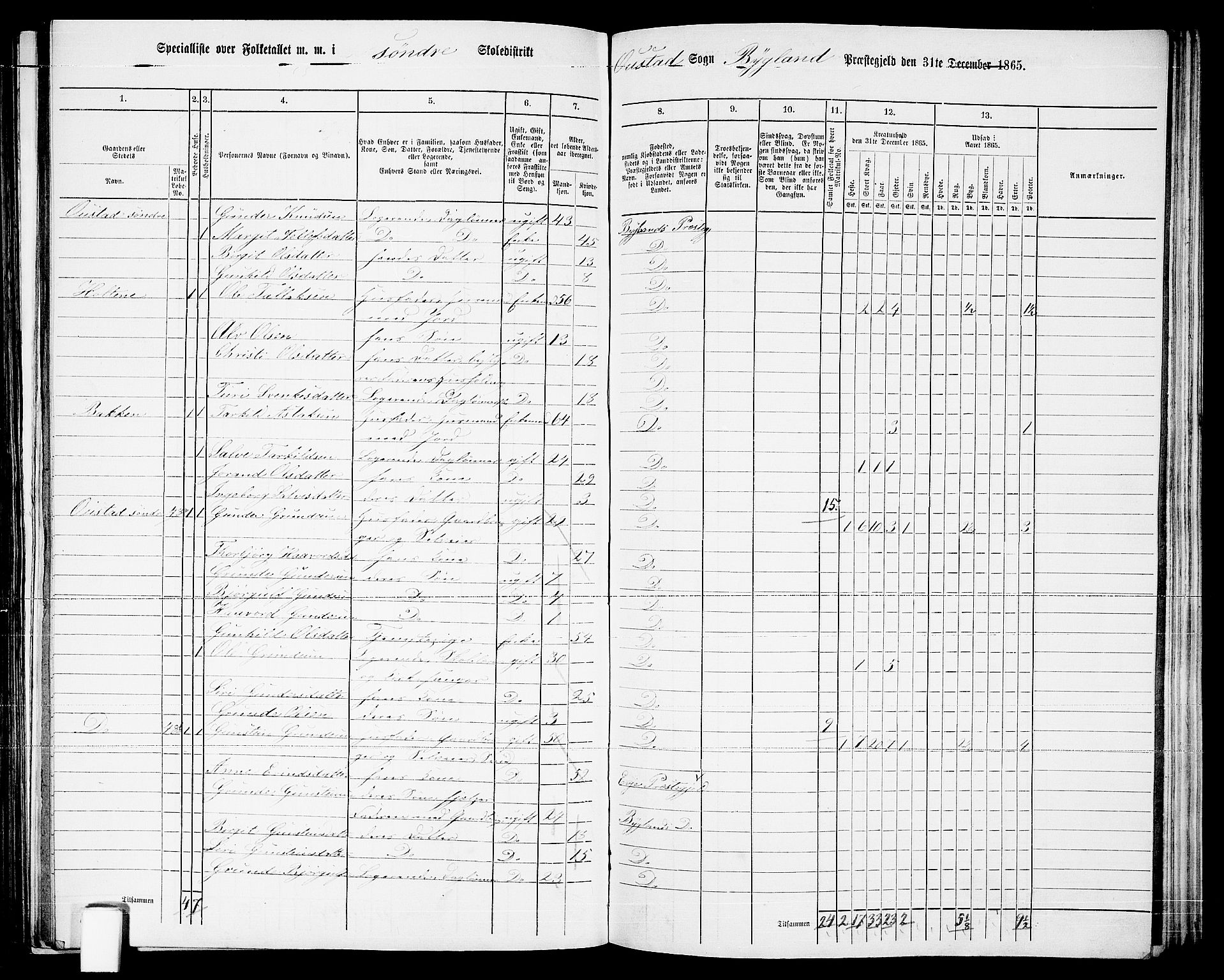 RA, 1865 census for Bygland, 1865, p. 27