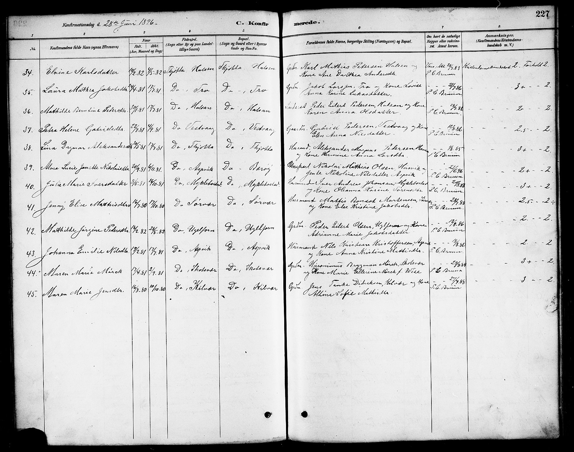 Ministerialprotokoller, klokkerbøker og fødselsregistre - Nordland, AV/SAT-A-1459/817/L0268: Parish register (copy) no. 817C03, 1884-1920, p. 227