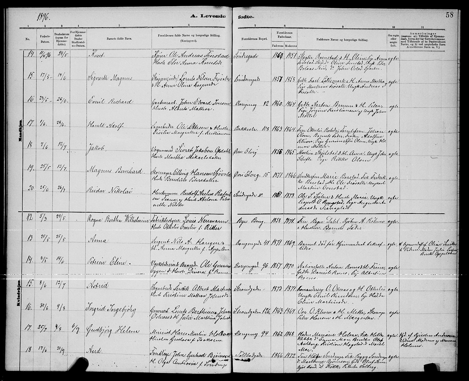 Ministerialprotokoller, klokkerbøker og fødselsregistre - Nord-Trøndelag, SAT/A-1458/739/L0374: Parish register (copy) no. 739C02, 1883-1898, p. 58