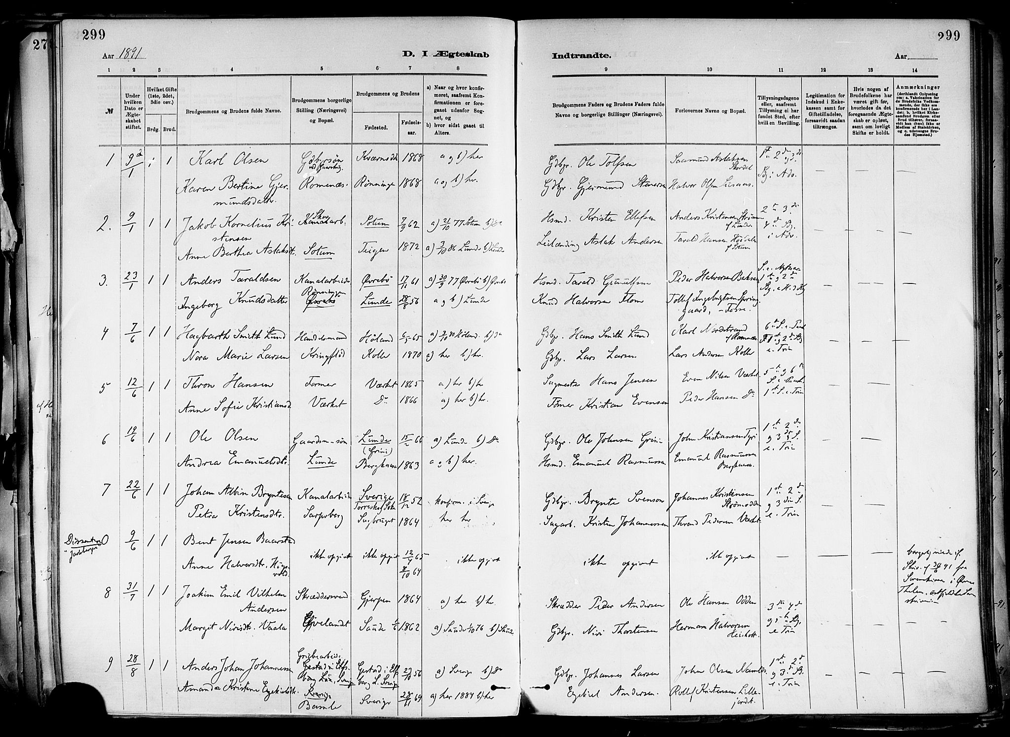 Holla kirkebøker, SAKO/A-272/F/Fa/L0008: Parish register (official) no. 8, 1882-1897, p. 299