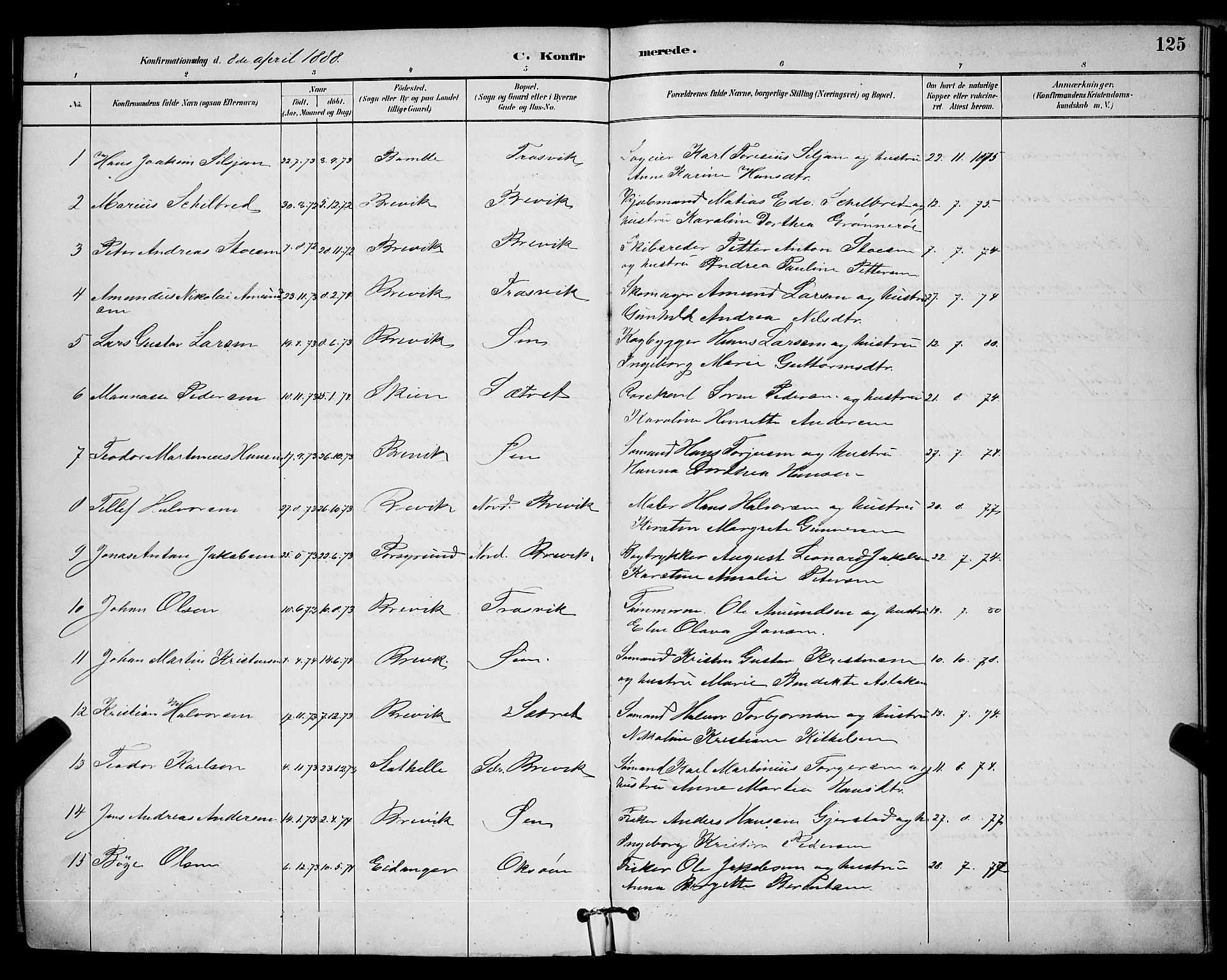 Brevik kirkebøker, AV/SAKO-A-255/G/Ga/L0004: Parish register (copy) no. 4, 1882-1900, p. 125