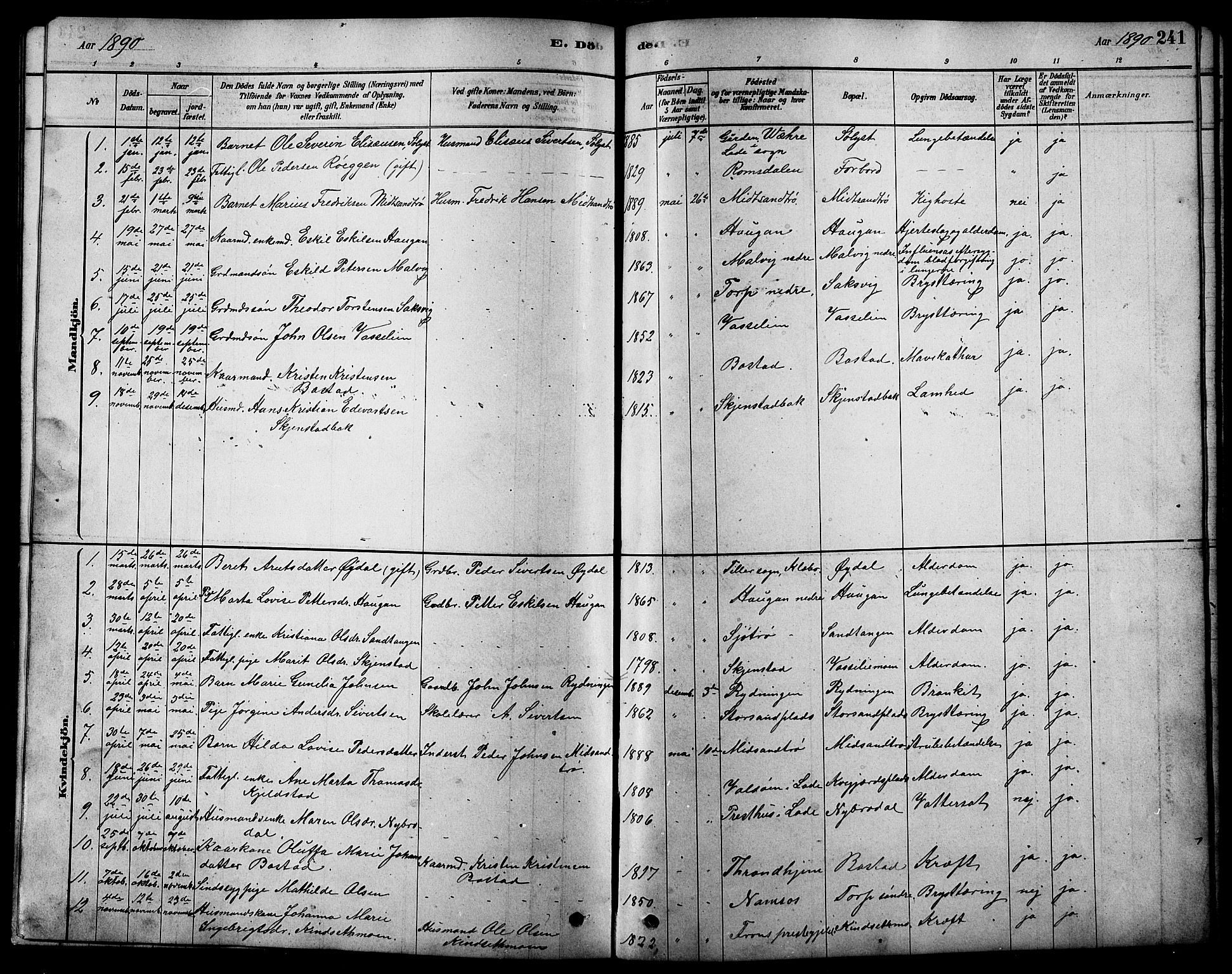 Ministerialprotokoller, klokkerbøker og fødselsregistre - Sør-Trøndelag, AV/SAT-A-1456/616/L0423: Parish register (copy) no. 616C06, 1878-1903, p. 241