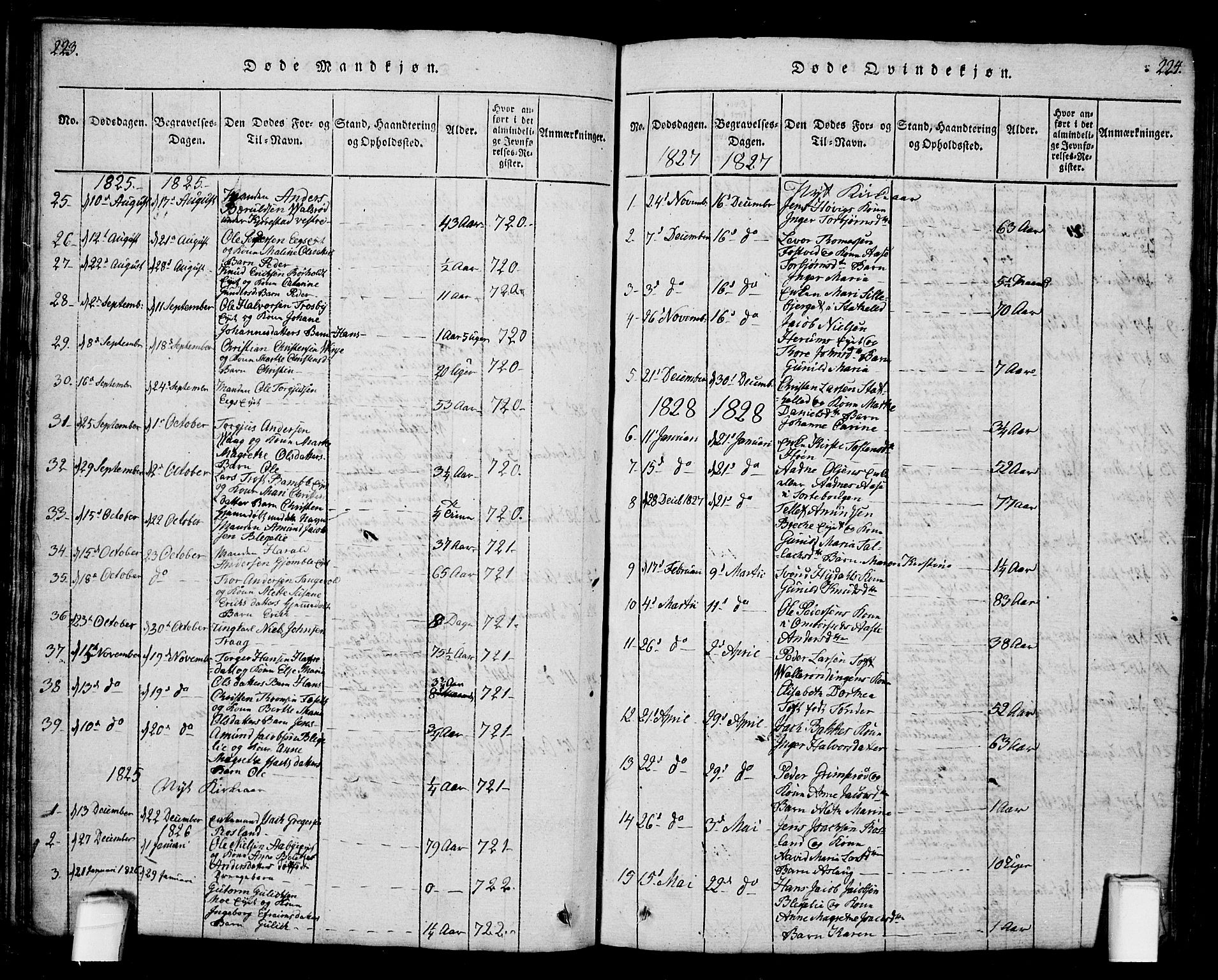 Bamble kirkebøker, SAKO/A-253/G/Ga/L0005: Parish register (copy) no. I 5, 1814-1855, p. 223-224