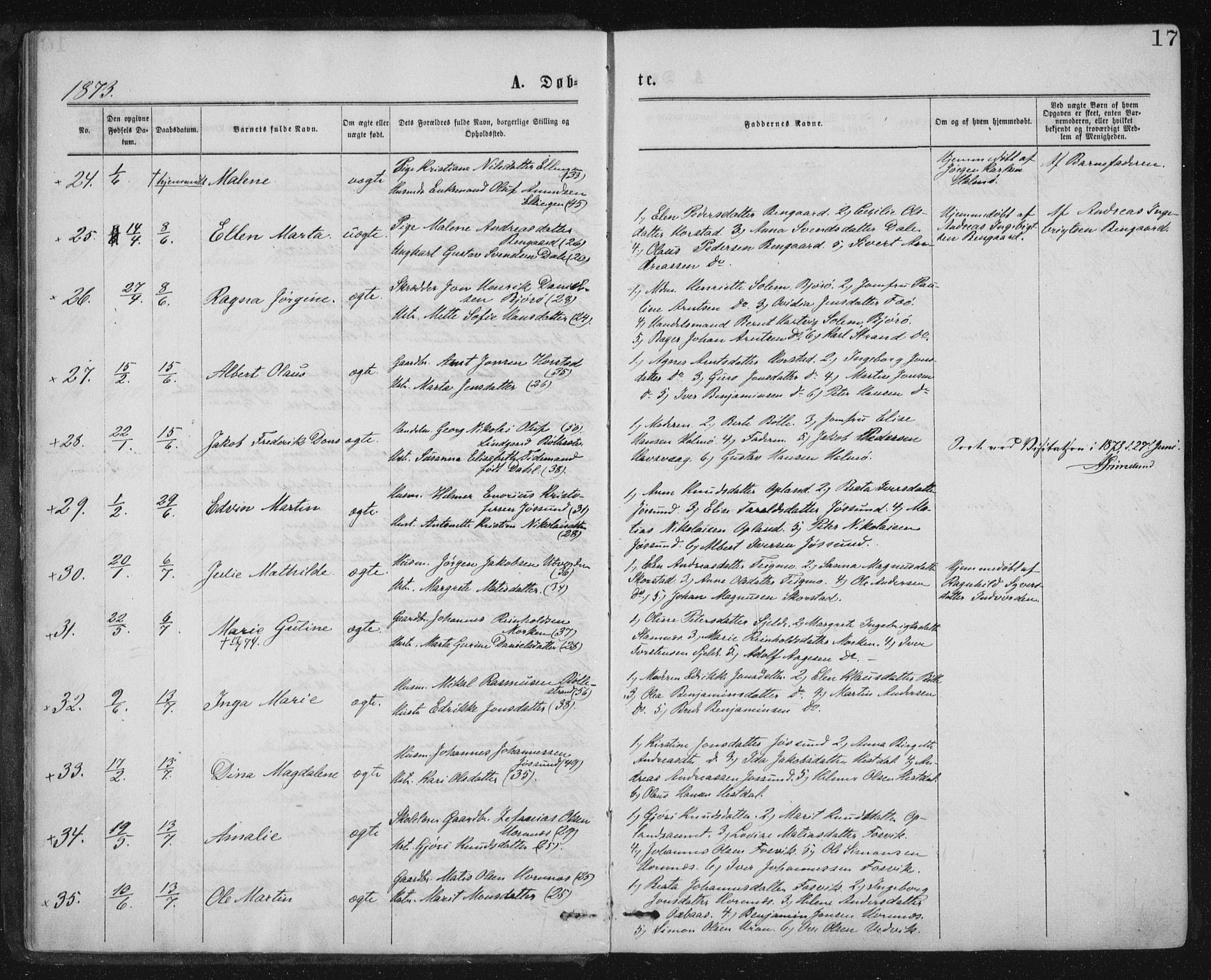 Ministerialprotokoller, klokkerbøker og fødselsregistre - Nord-Trøndelag, SAT/A-1458/771/L0596: Parish register (official) no. 771A03, 1870-1884, p. 17