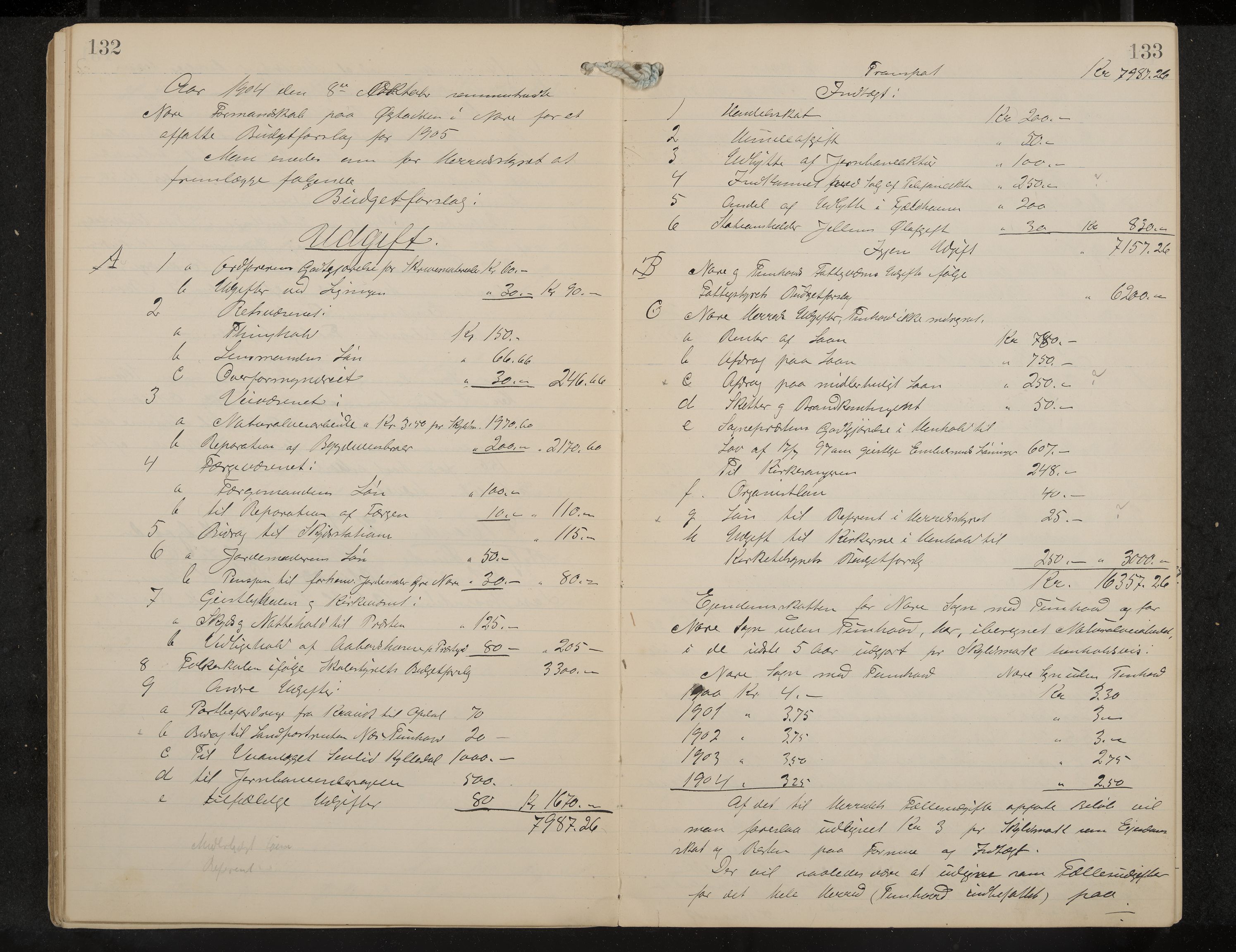 Nore formannskap og sentraladministrasjon, IKAK/0633021-2/A/Aa/L0001: Møtebok, 1901-1911, p. 132-133