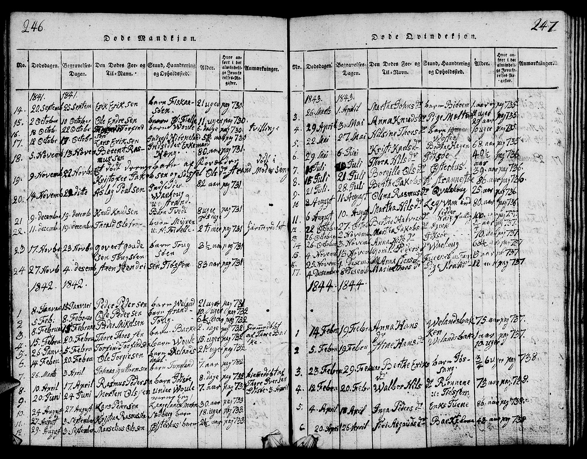 Strand sokneprestkontor, SAST/A-101828/H/Ha/Hab/L0001: Parish register (copy) no. B 1, 1816-1854, p. 246-247