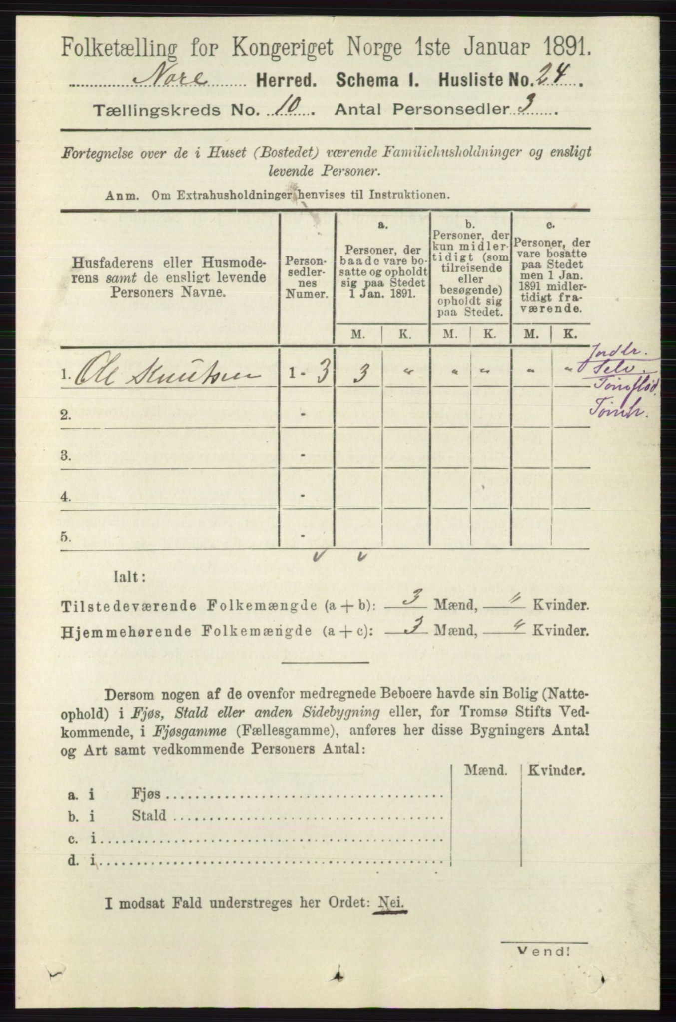 RA, 1891 census for 0633 Nore, 1891, p. 3539