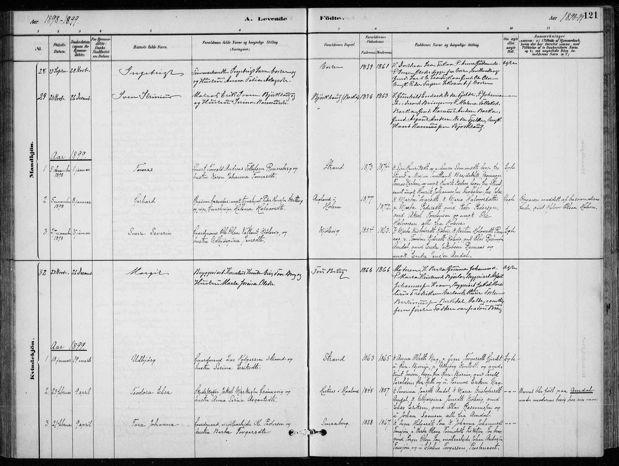 Strand sokneprestkontor, SAST/A-101828/H/Ha/Hab/L0004: Parish register (copy) no. B 4, 1878-1903, p. 121