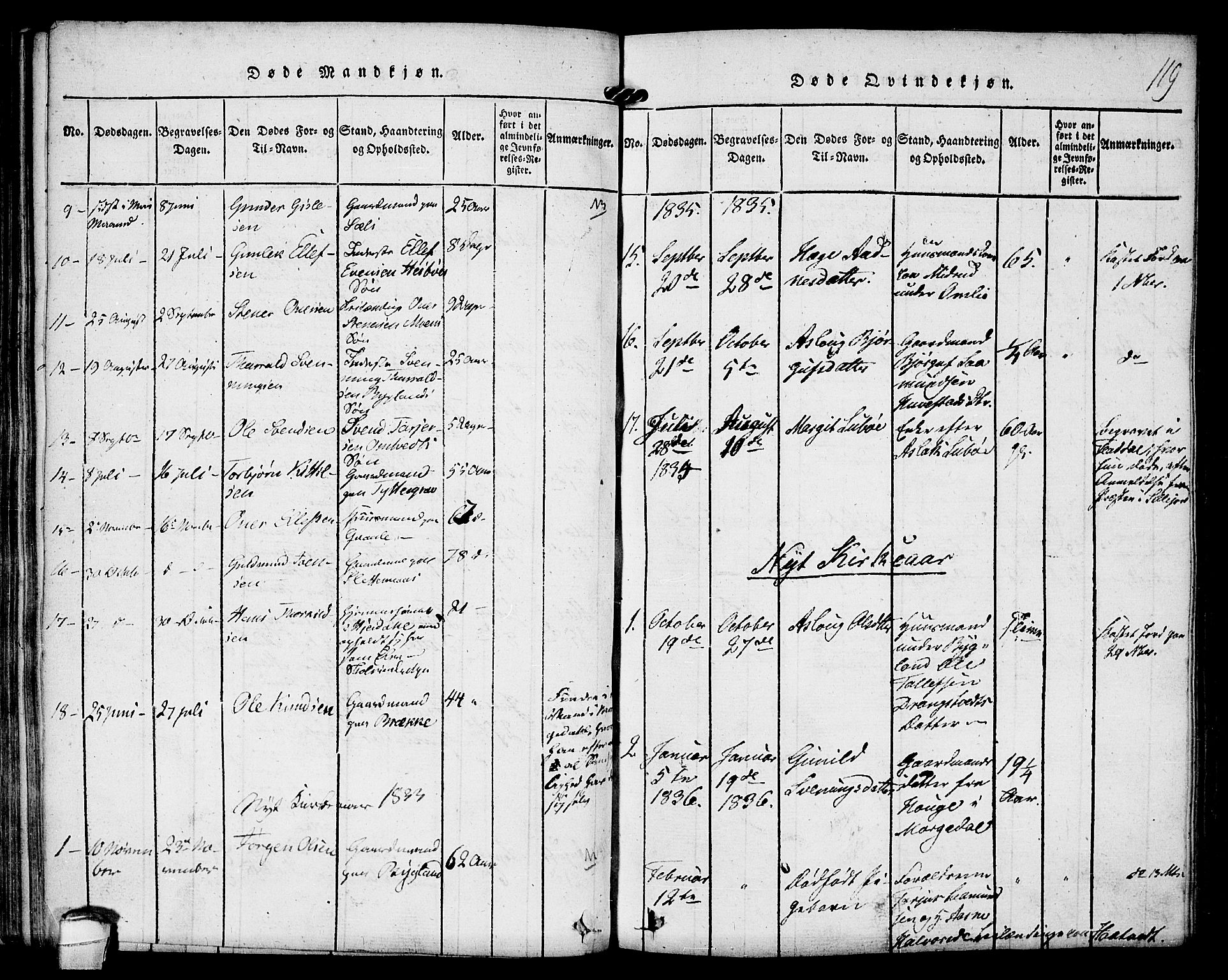 Kviteseid kirkebøker, SAKO/A-276/F/Fb/L0001: Parish register (official) no. II 1, 1815-1836, p. 119