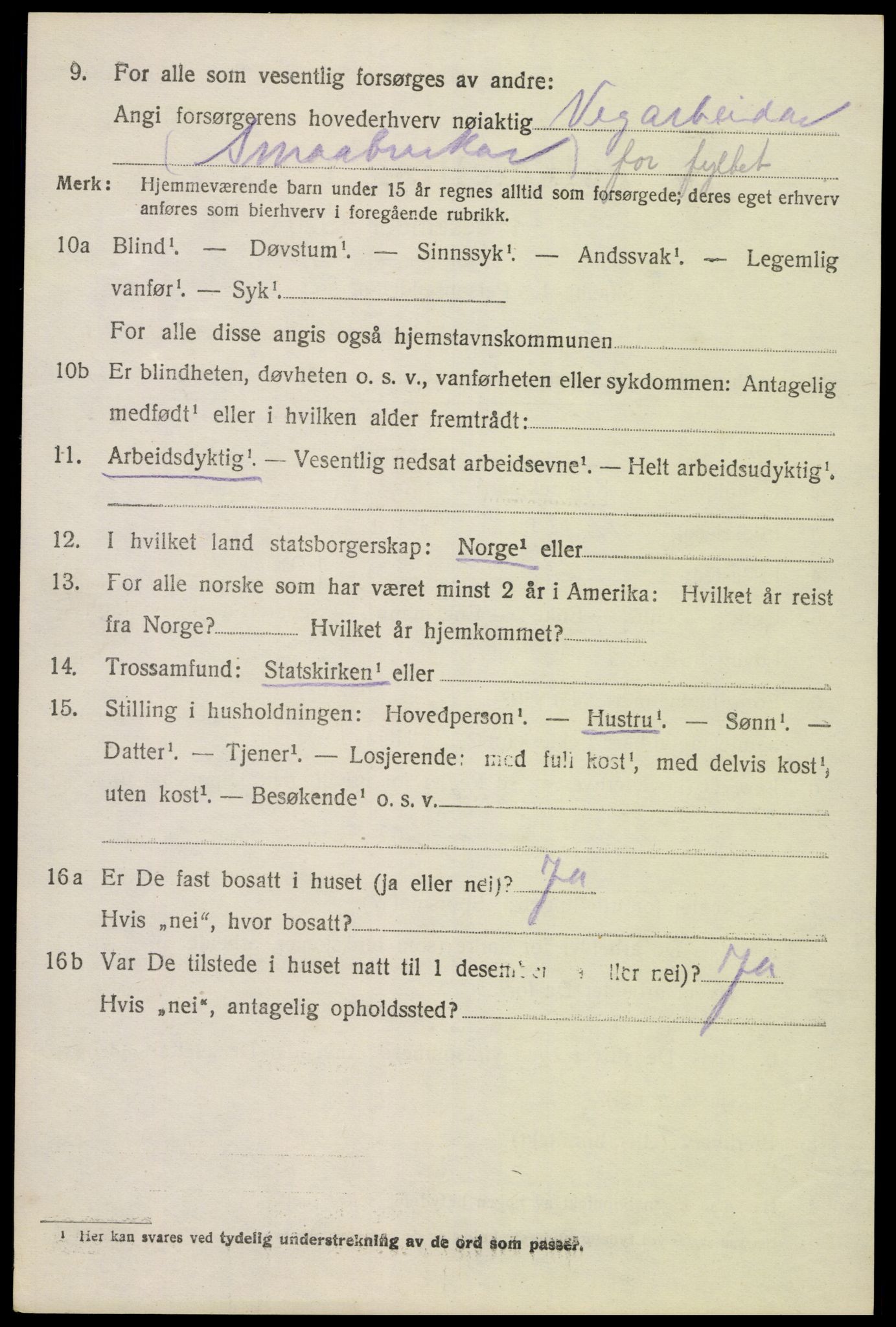SAK, 1920 census for Hornnes, 1920, p. 1024