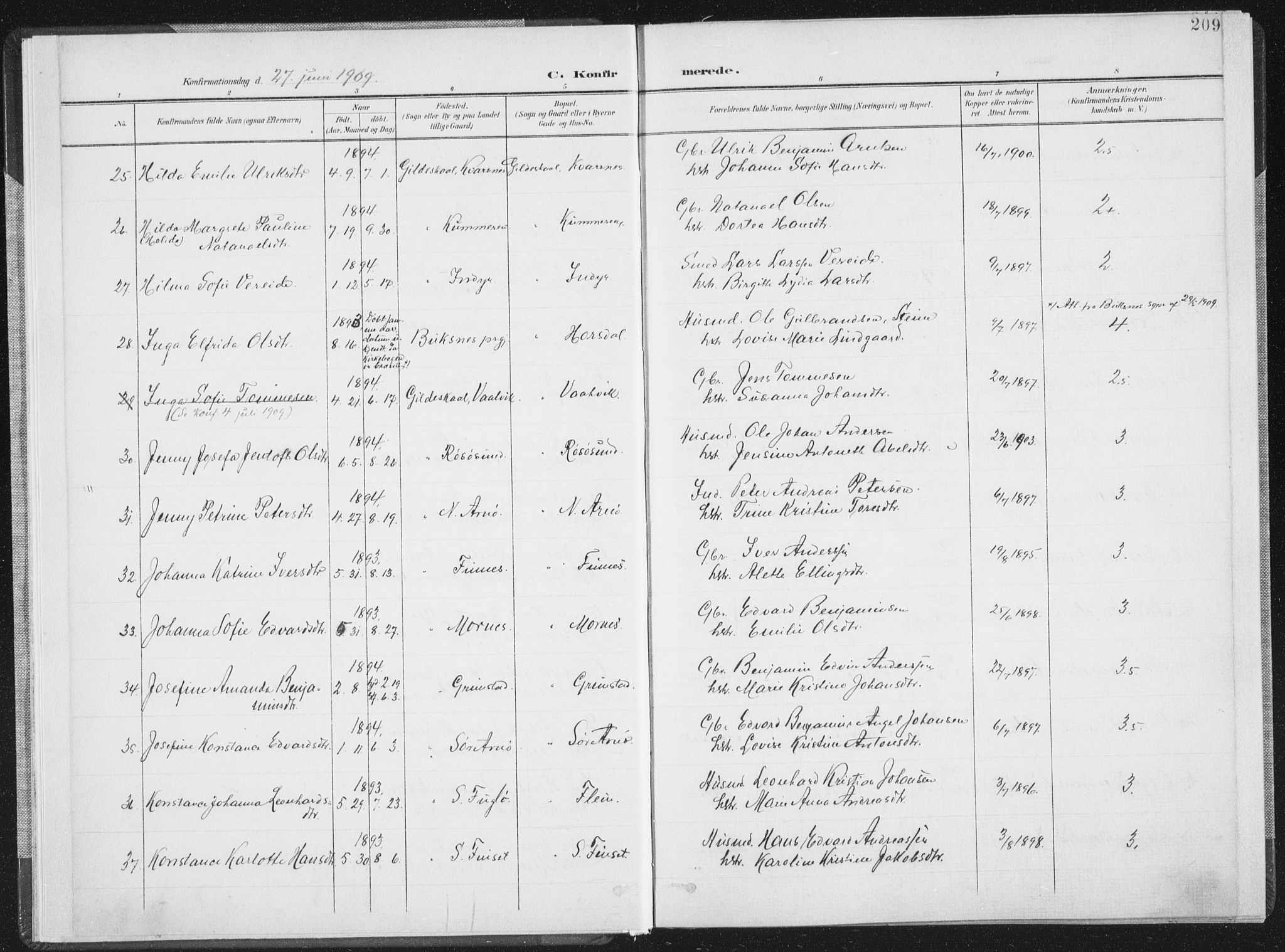 Ministerialprotokoller, klokkerbøker og fødselsregistre - Nordland, SAT/A-1459/805/L0103: Parish register (official) no. 805A08II, 1900-1909, p. 209