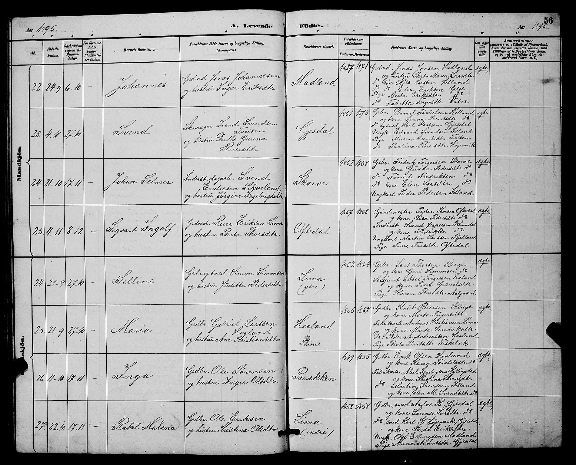 Lye sokneprestkontor, AV/SAST-A-101794/001/30BB/L0008: Parish register (copy) no. B 7, 1887-1901, p. 56