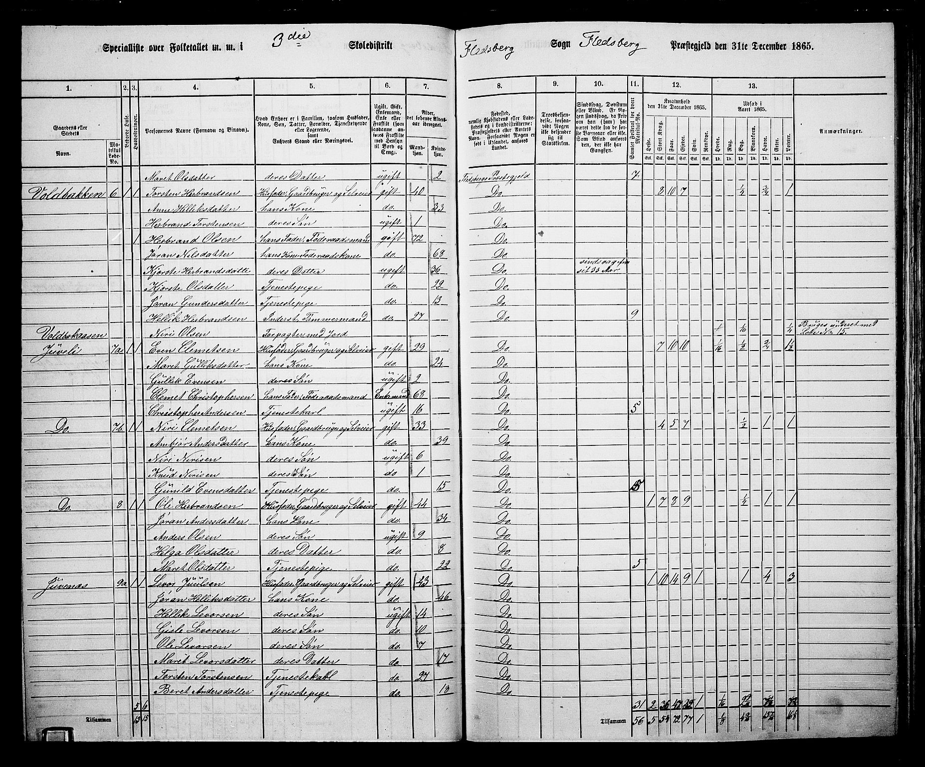 RA, 1865 census for Flesberg, 1865, p. 66