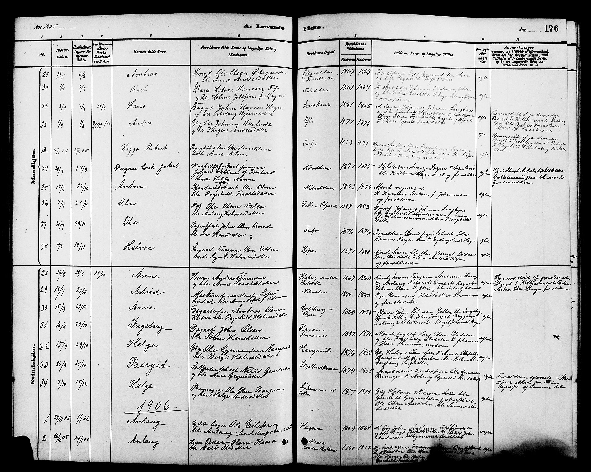 Heddal kirkebøker, SAKO/A-268/G/Ga/L0002: Parish register (copy) no. I 2, 1879-1908, p. 176