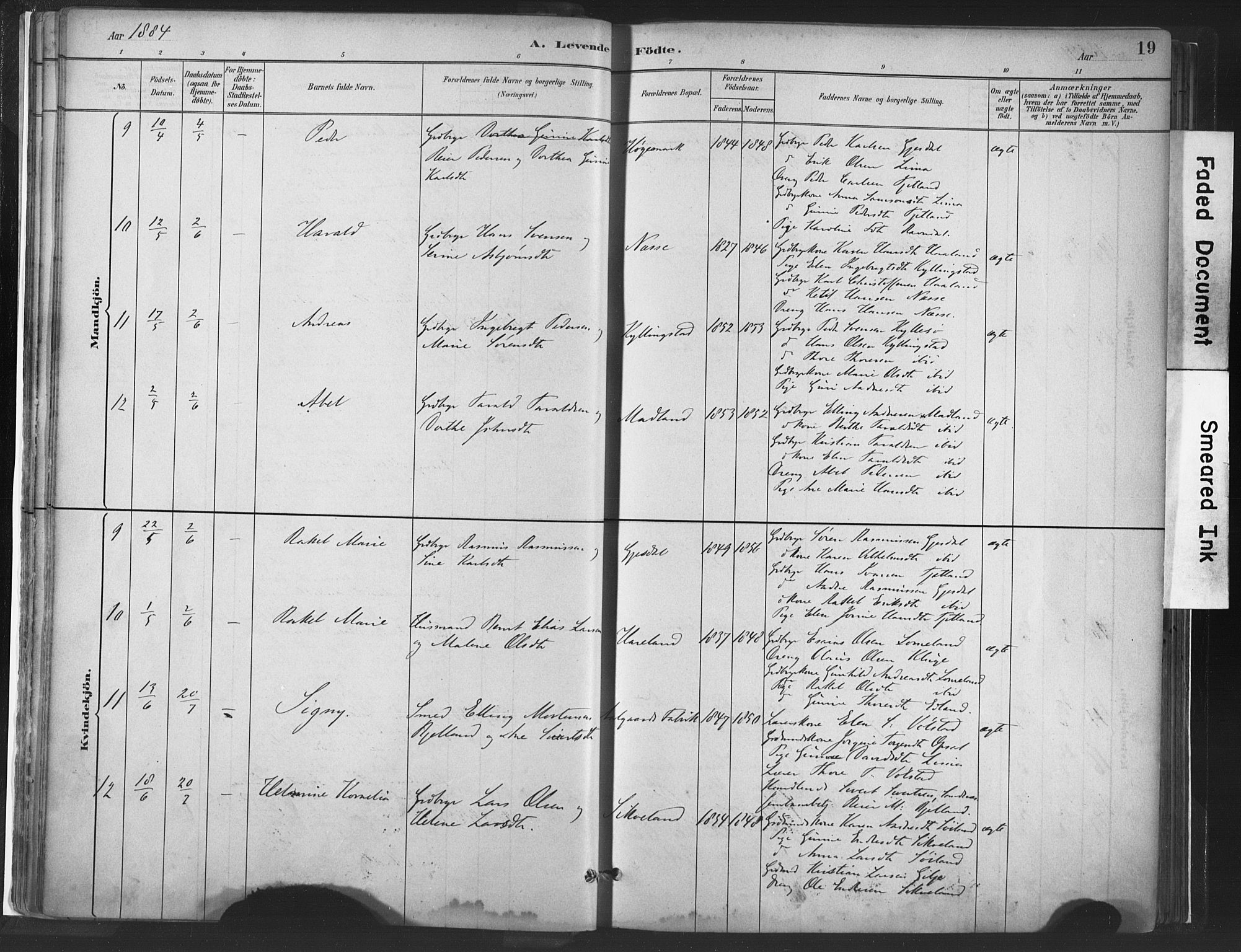 Lye sokneprestkontor, AV/SAST-A-101794/001/30BA/L0010: Parish register (official) no. A 10, 1881-1896, p. 19