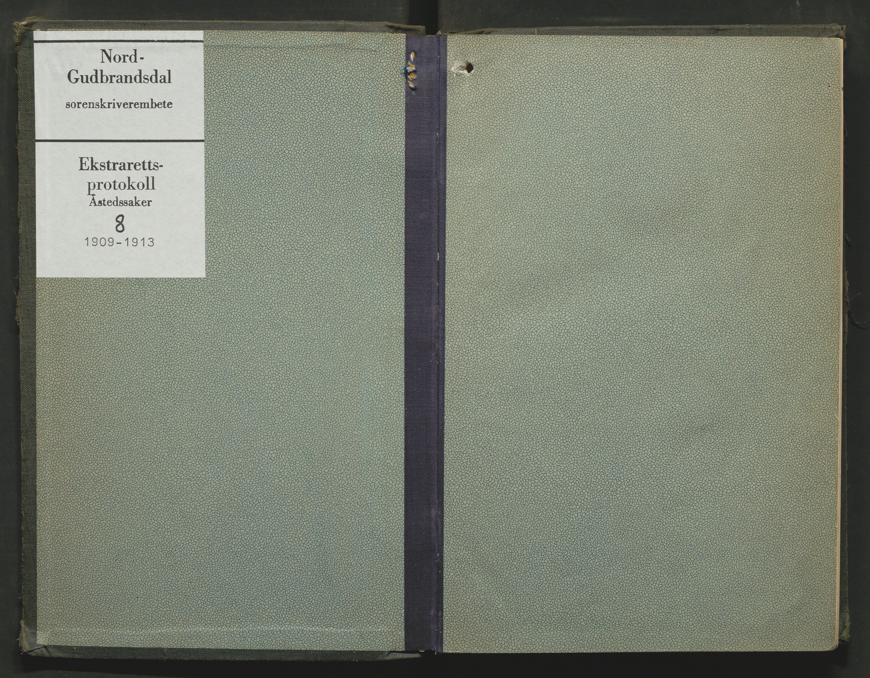 Nord-Gudbrandsdal tingrett, AV/SAH-TING-002/G/Gc/Gcb/L0008: Ekstrarettsprotokoll for åstedssaker, 1909-1913