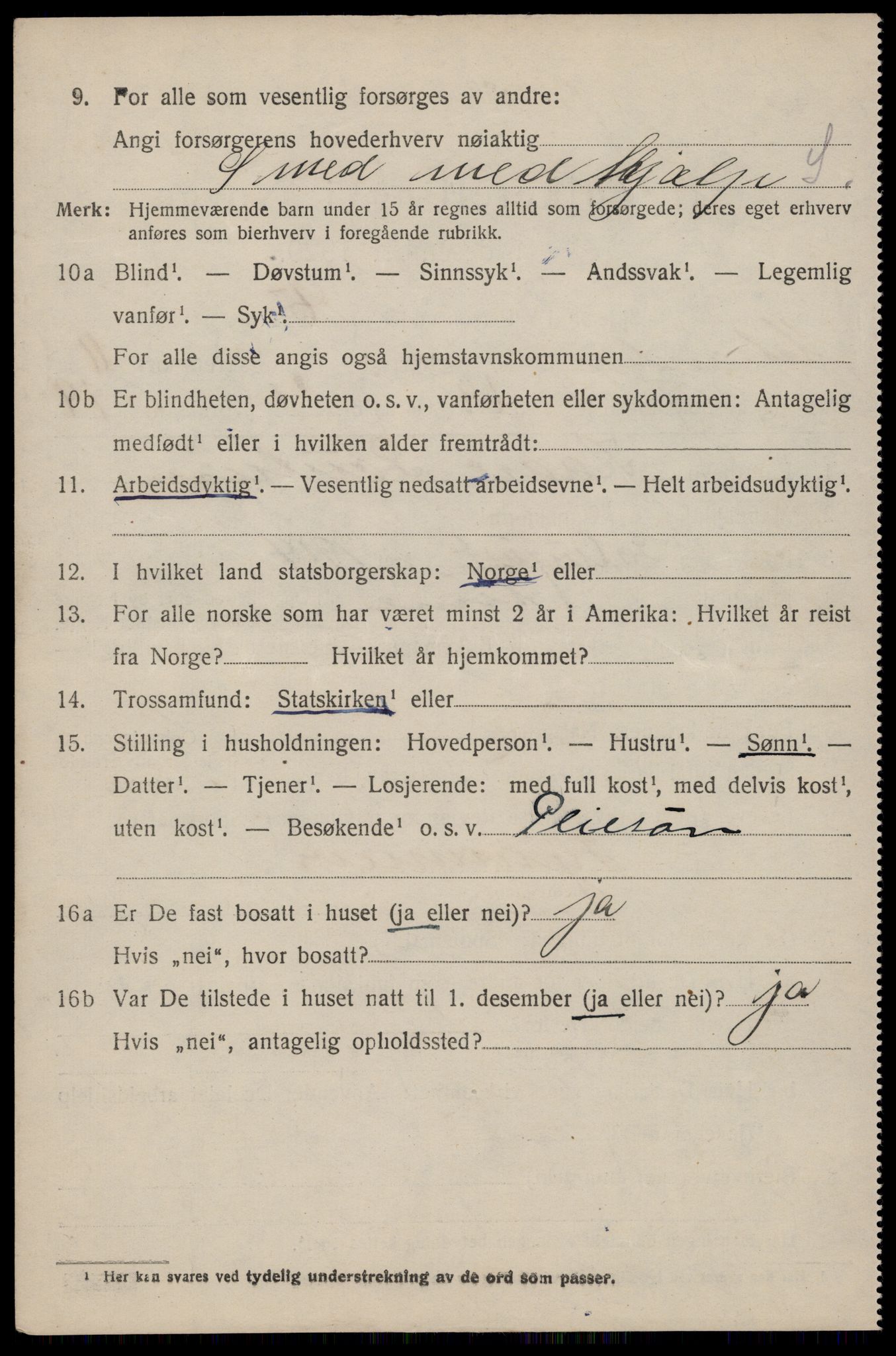 SAST, 1920 census for Hetland, 1920, p. 20878