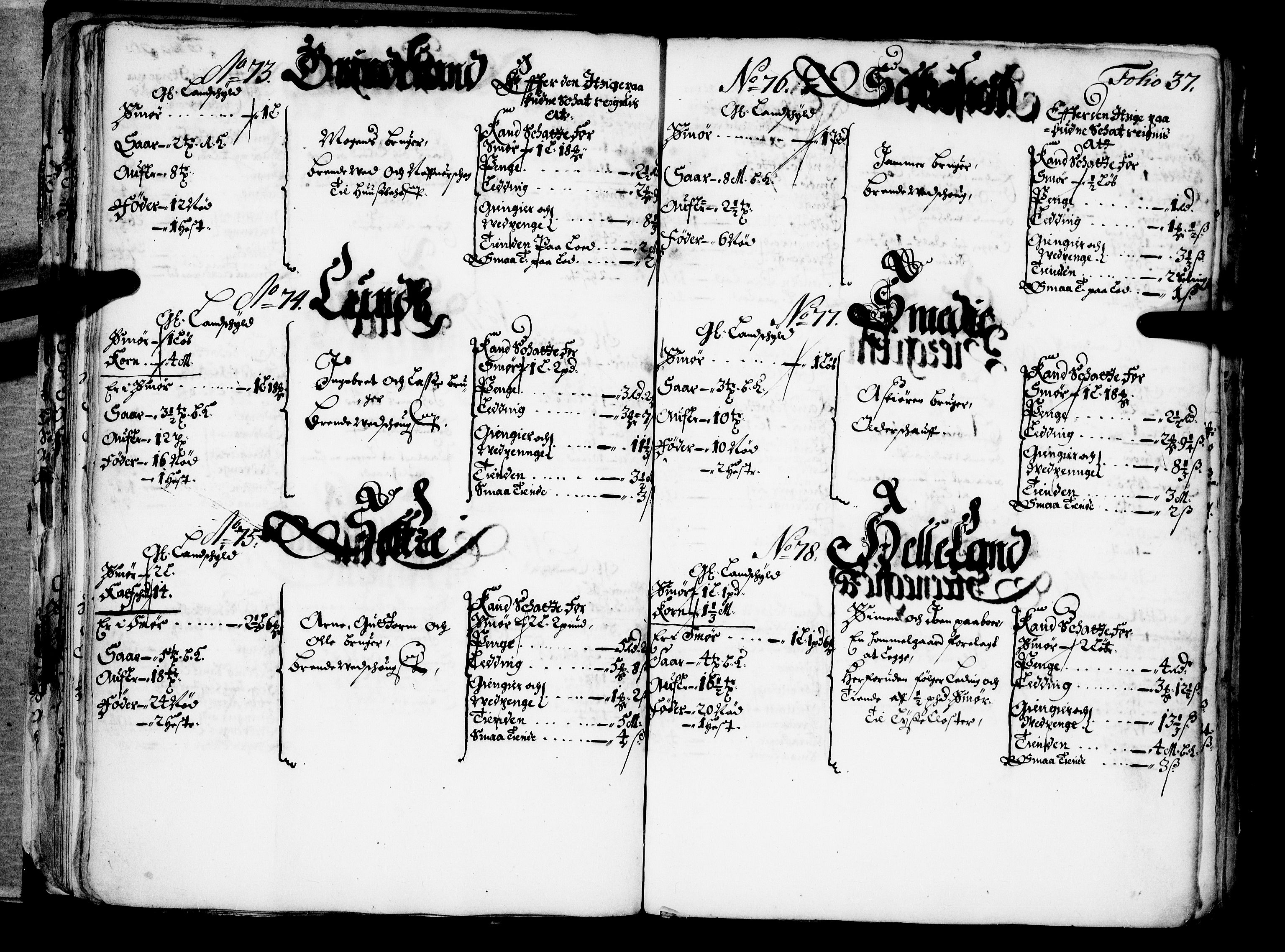 Rentekammeret inntil 1814, Realistisk ordnet avdeling, AV/RA-EA-4070/N/Nb/Nba/L0042: Ytre Sogn fogderi, 1667, p. 36b-37a